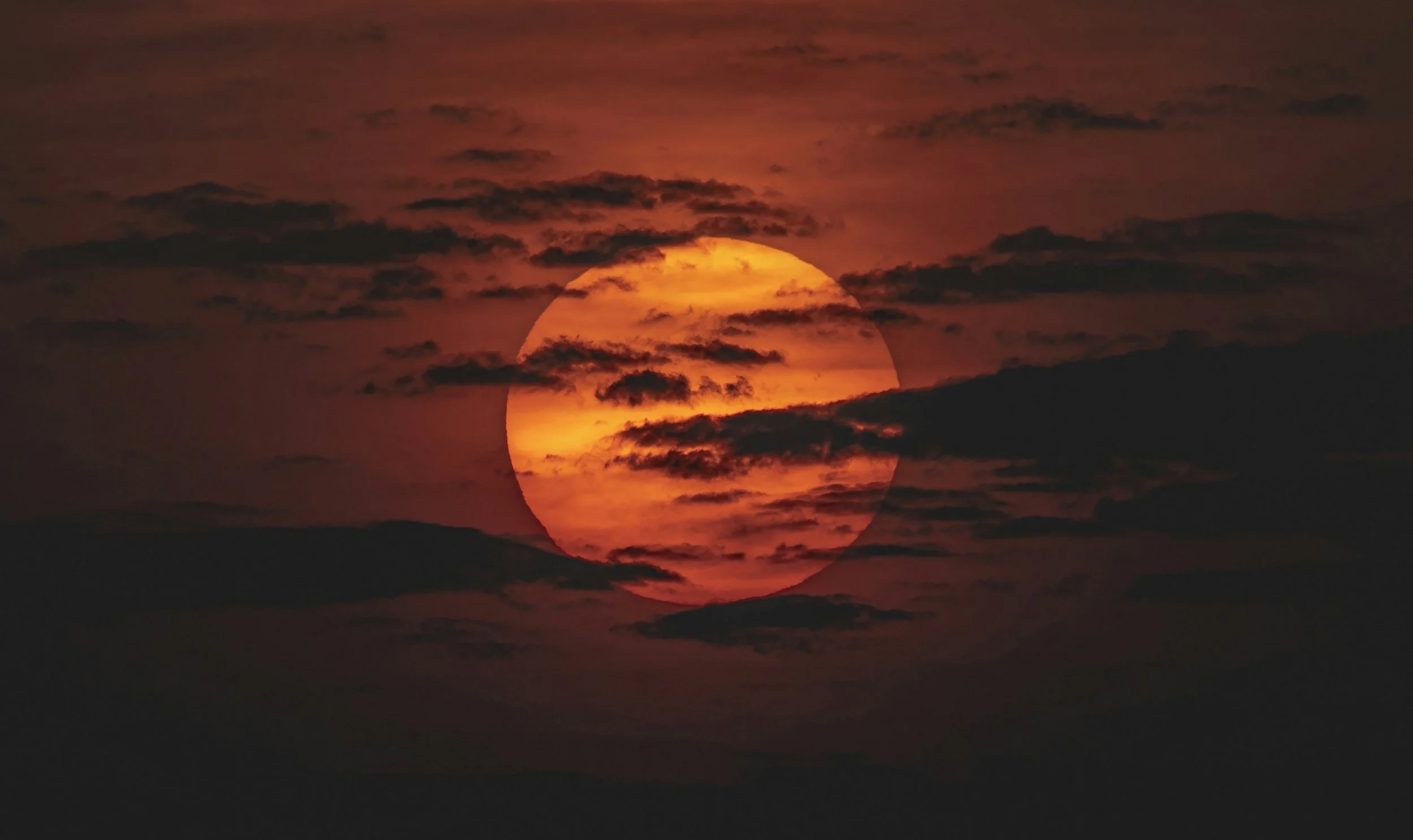 unsplash-image-OYzpw-g6foo.jpg