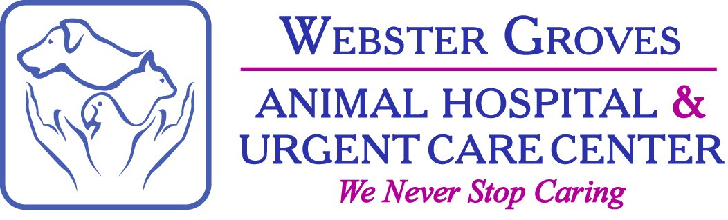 Webster Groves Animal Hospital Student Relations