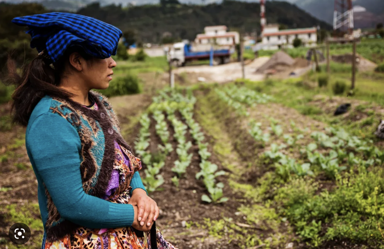 Screen Shot 2022-12-12 at 12.29.01 PM.png