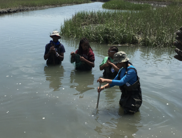 Screen Shot 2022-12-12 at 12.33.01 PM.png