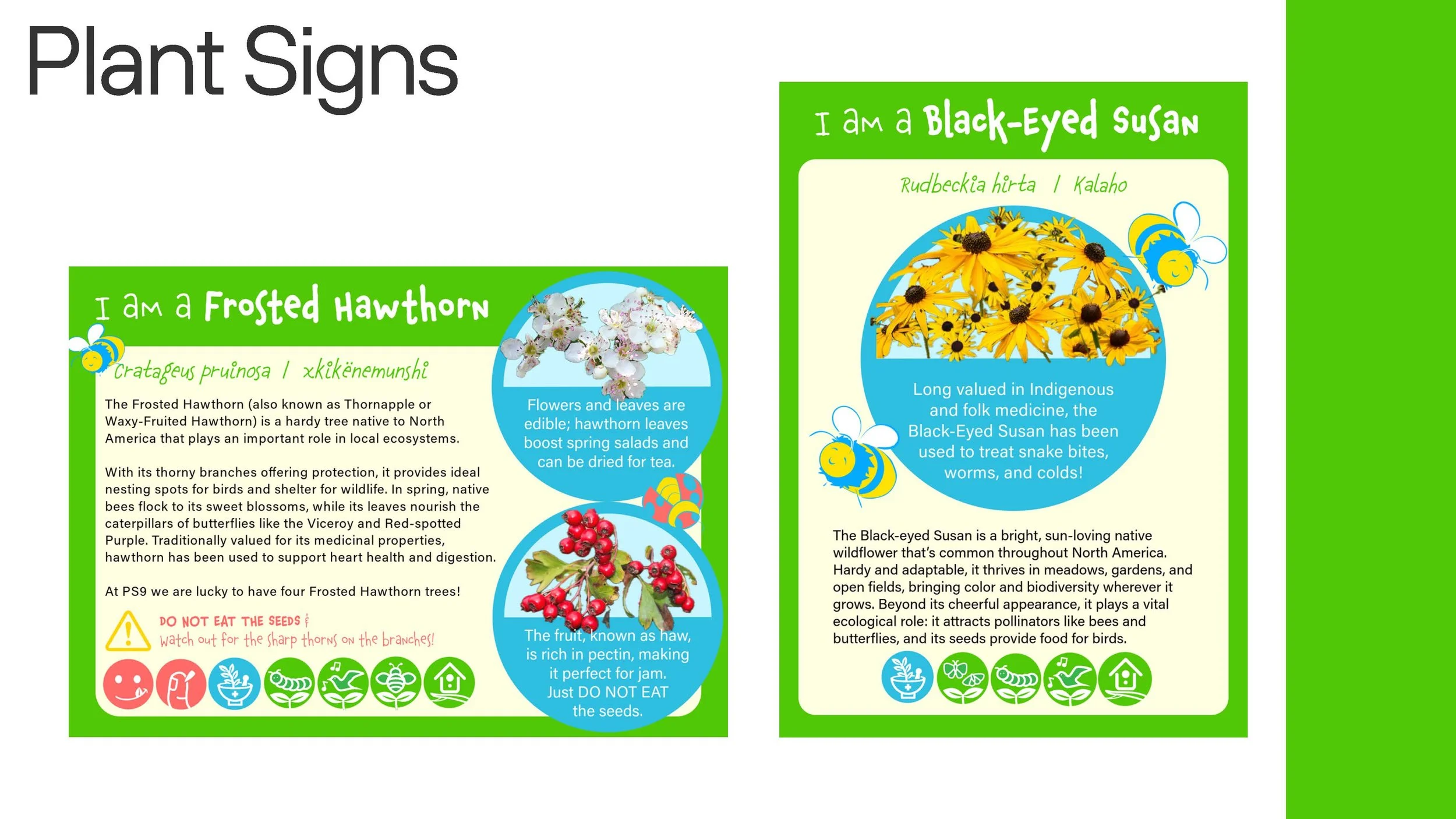 Students Morgan Jeong, Sarah Jo Renelt, and Jabez Brisueno designed engaging and educational signage for a children's garden that fosters curiousity and environmental awareness. (Spring 2025)