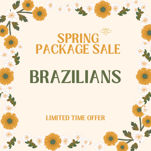 spring sale.braz06.png