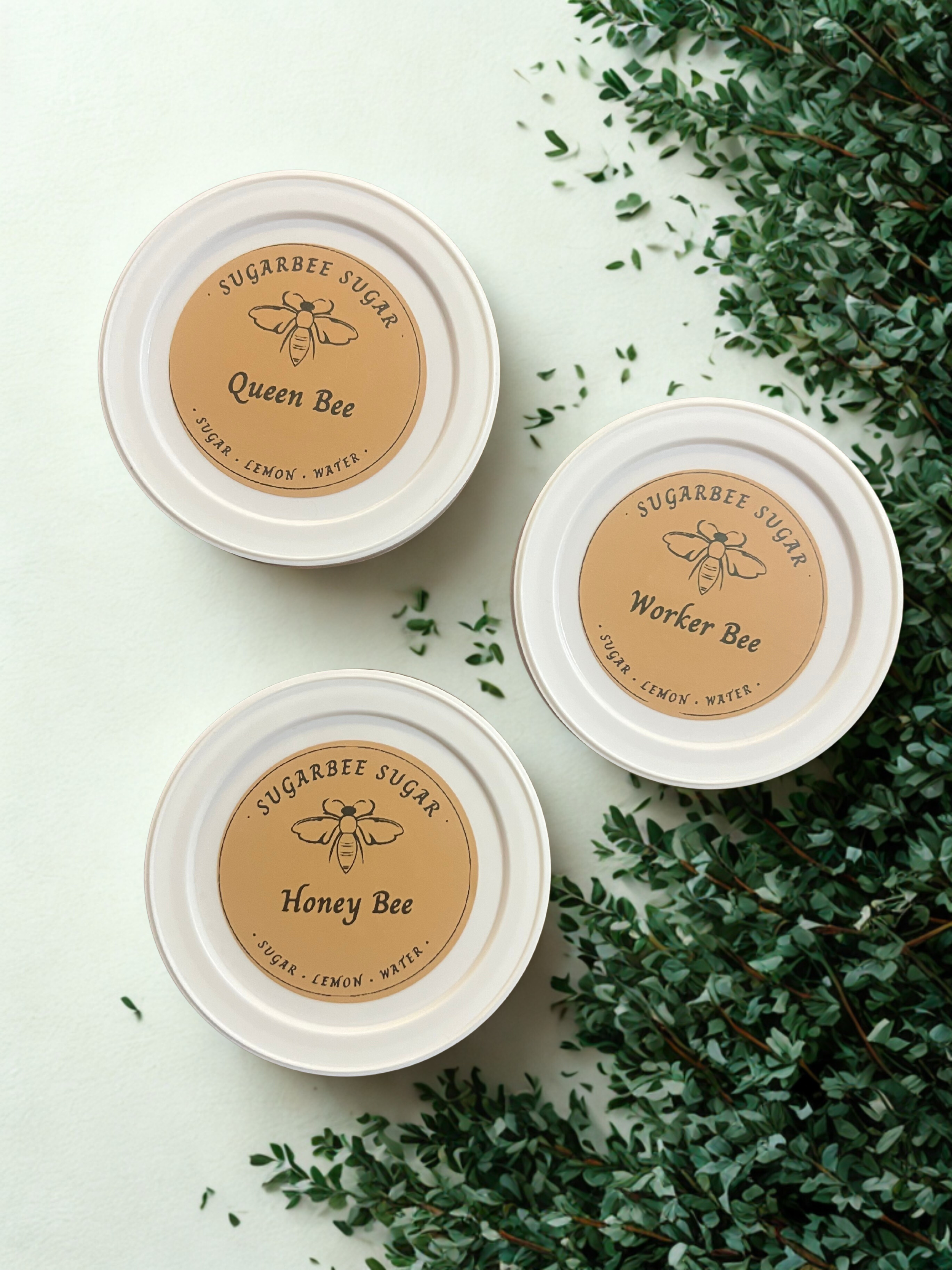Starter Kits & Samples
