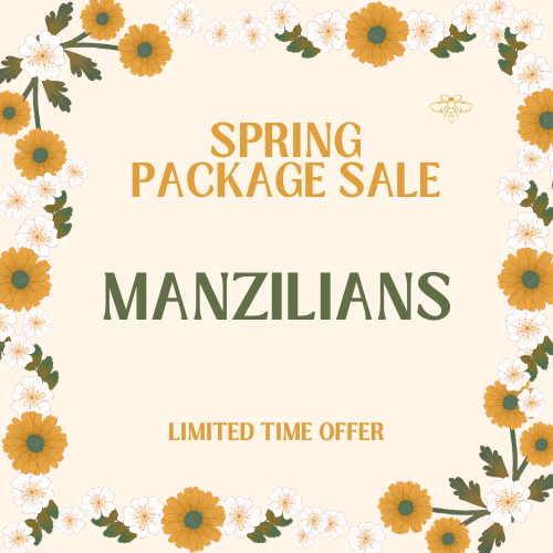 spring sale.man06.png