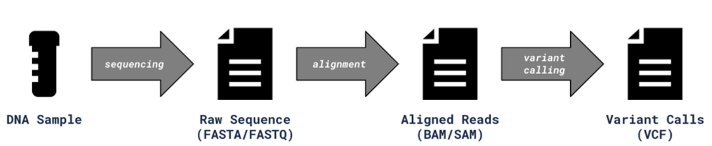 What Is A Variant Call Format VCF File Precision Oncology what-is-a-variant-call-format-vcf-file-precision-oncology