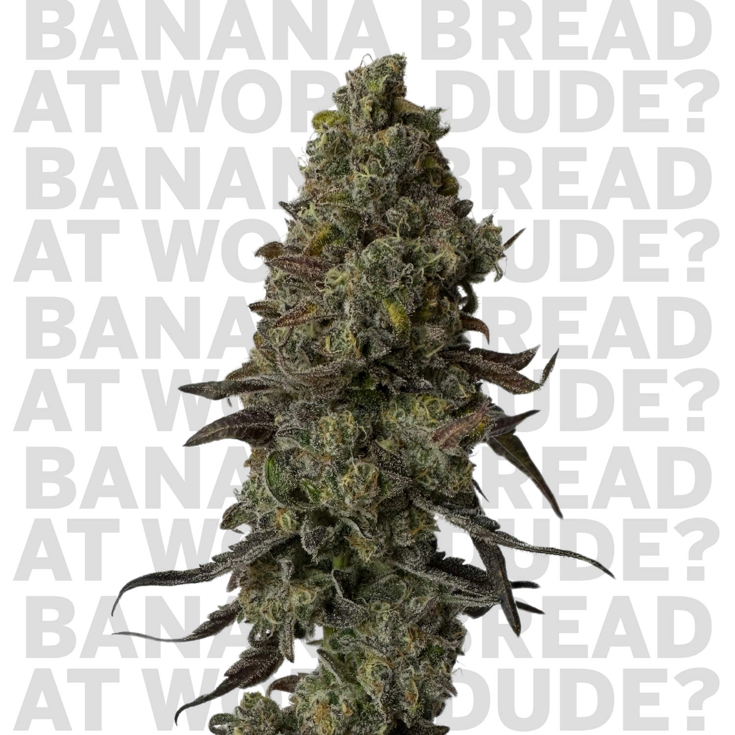 Banana Bread at Work Dude?