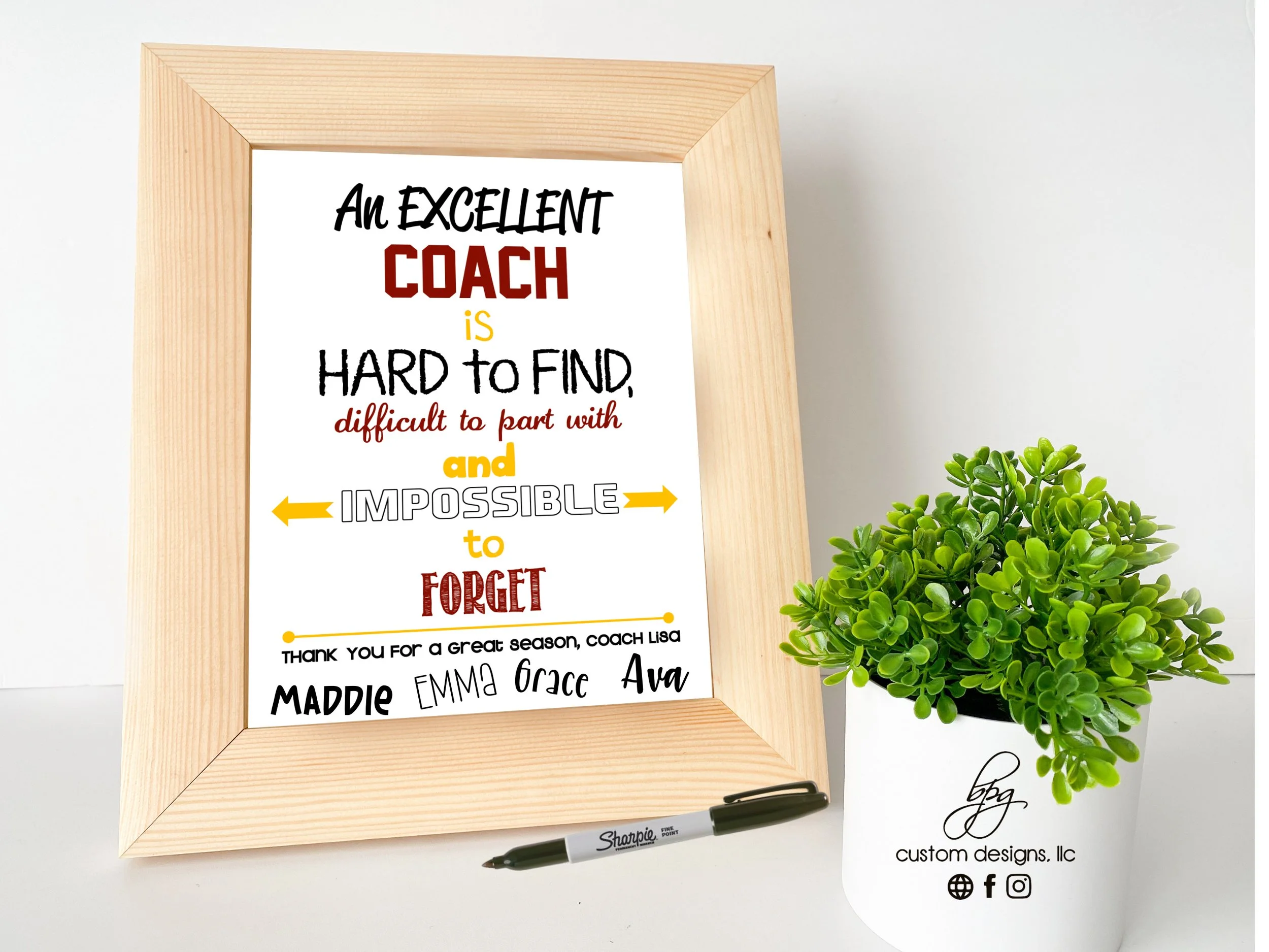 An Excellent Coach.jpg