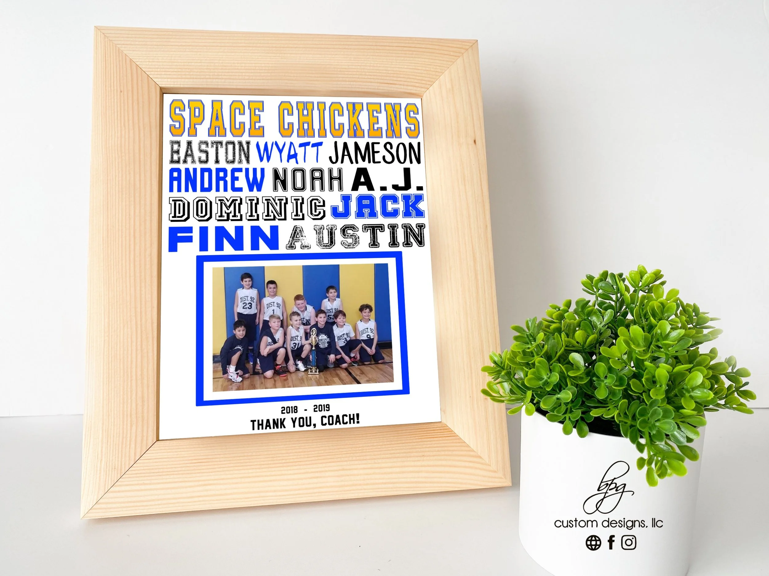 Space Chickens Coach.jpg