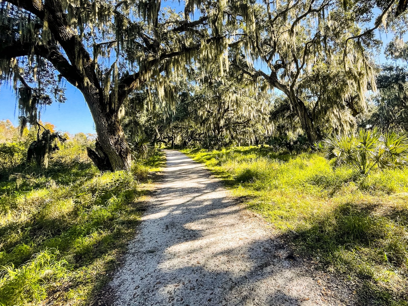 Part of the Lake Trek Trail