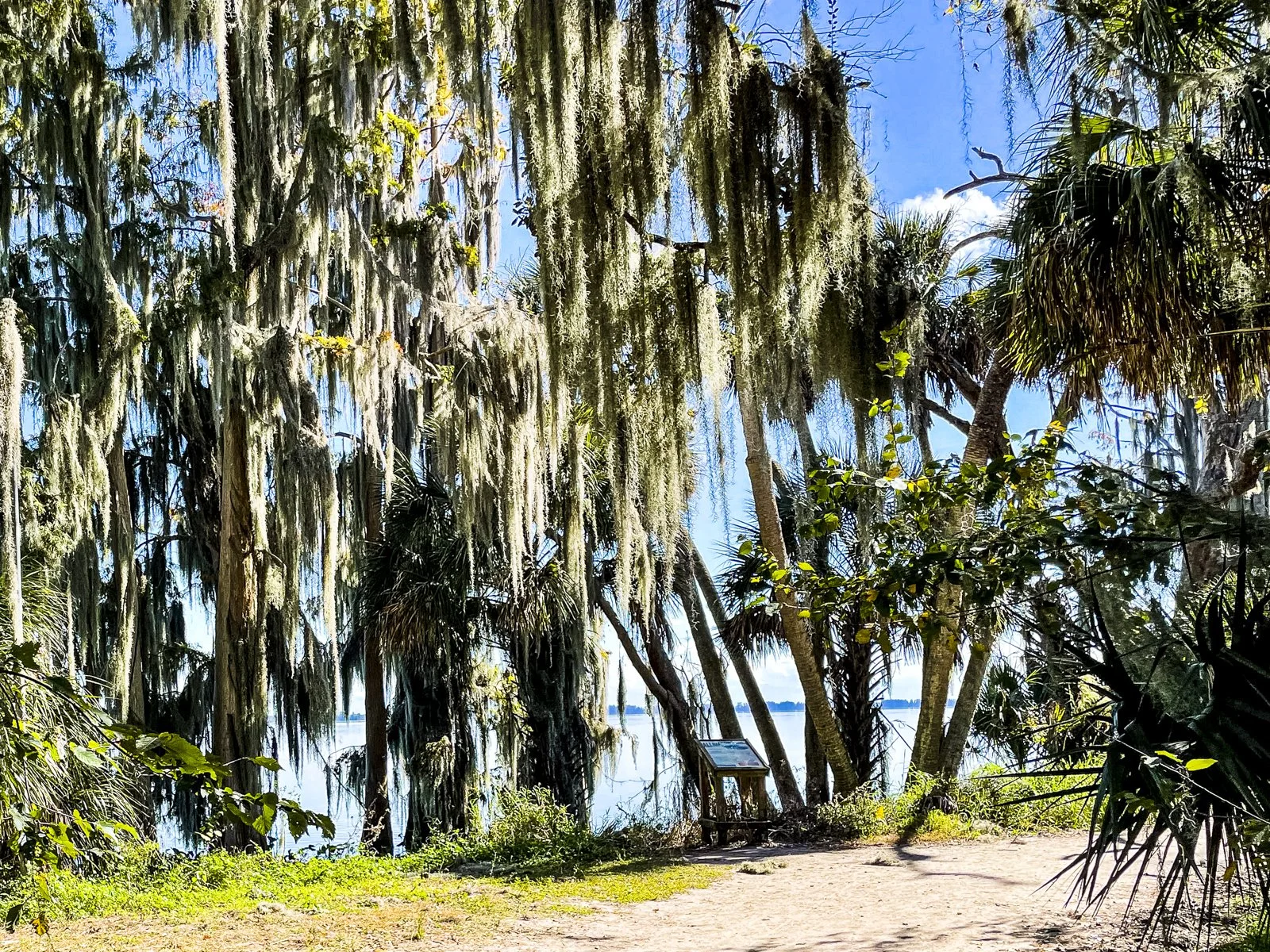 The trail as is gets to Lake Hancock.