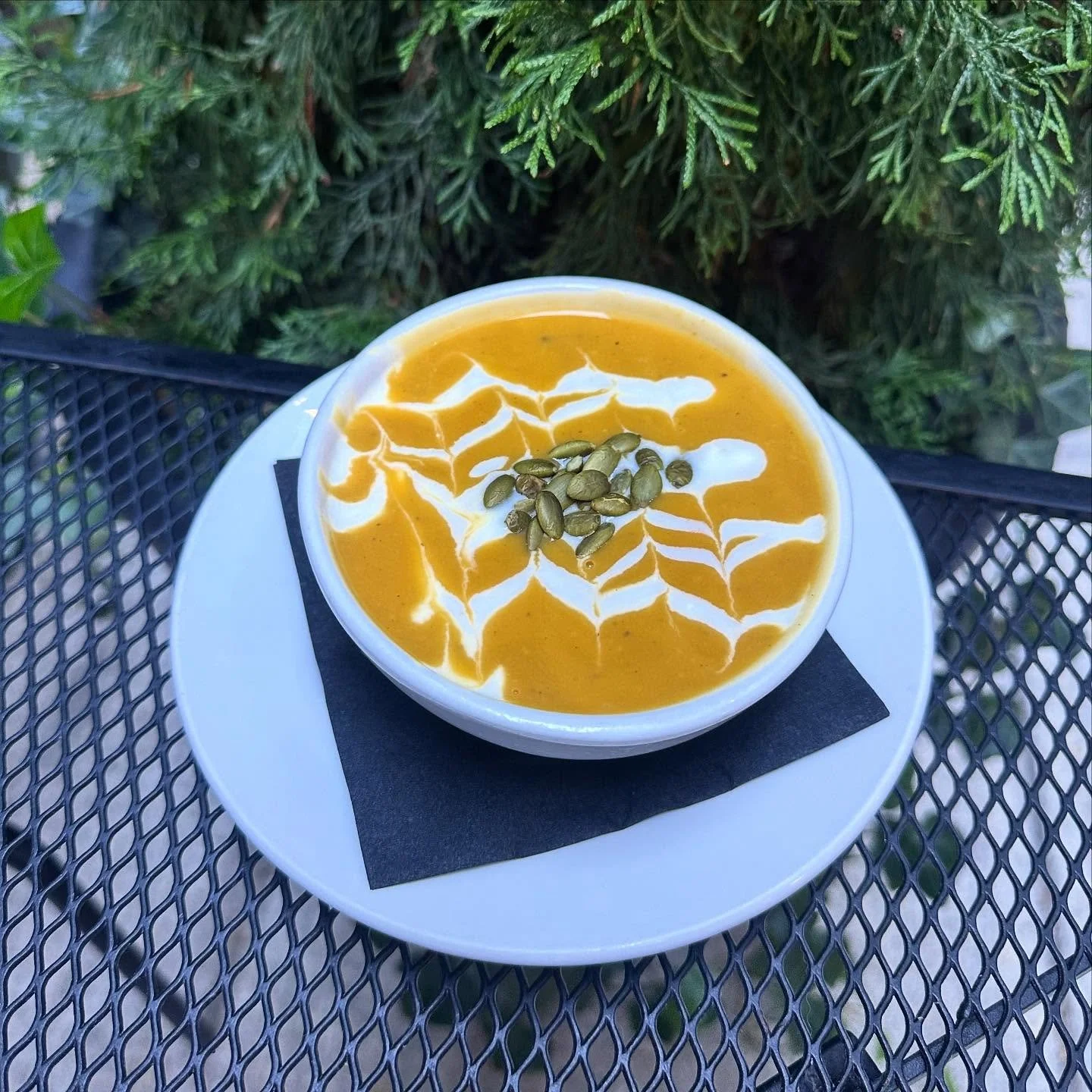 Butternut Squash Bisque 🍂🍁 topped with a yogurt drizzle &amp; toasted pumpkin seeds. Perfect weather for a bowl of this soup!
.
.
 #themerc #themercsaratoga #downtownsaratoga #broadwaysaratoga #saratogasprings #saratogaspringsNY #discoverSaratoga #