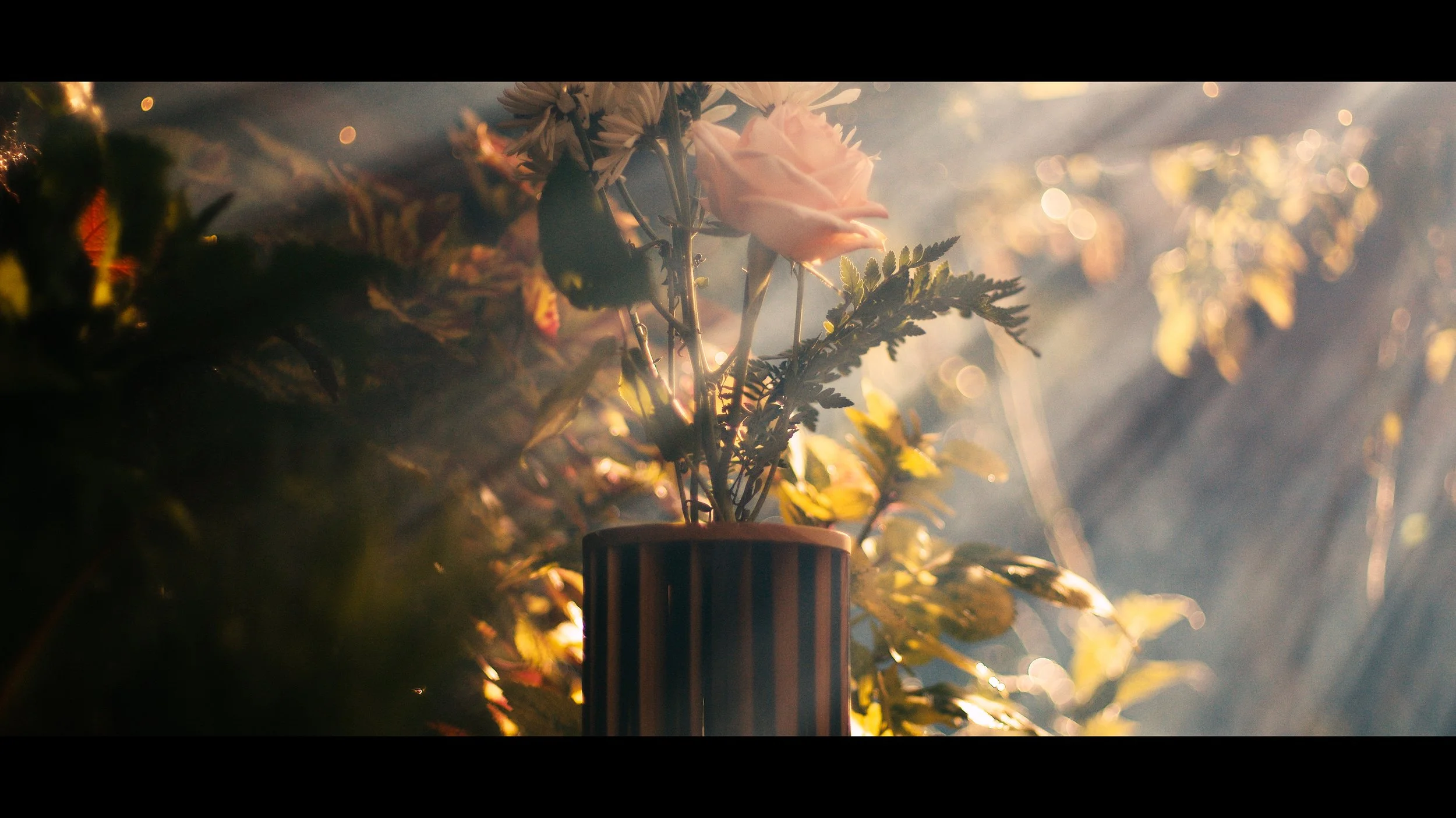 Sequence 02.00_13_51_00.Still003.jpeg