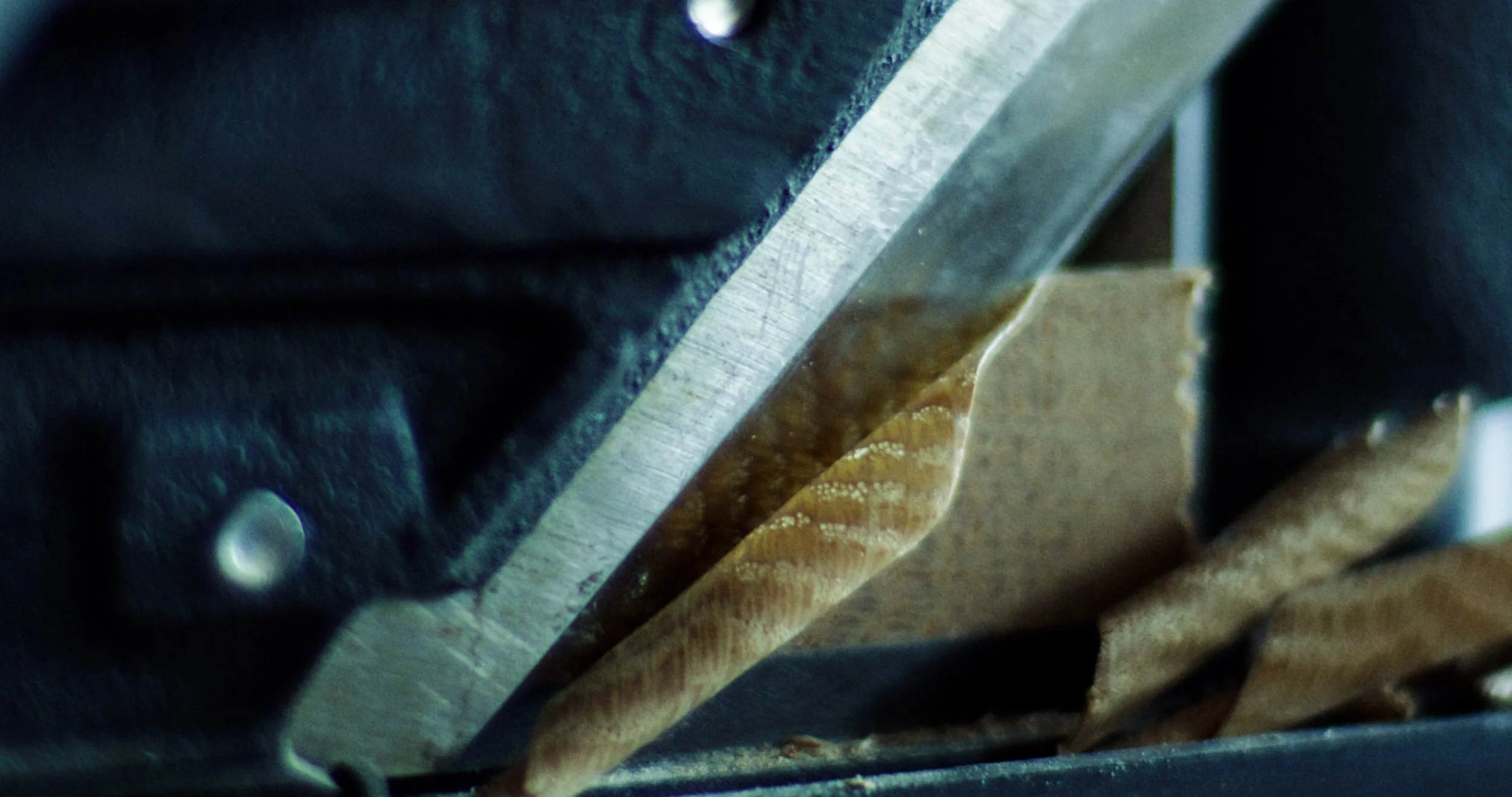 Sequence 01.00_06_33_02.Still004.jpg