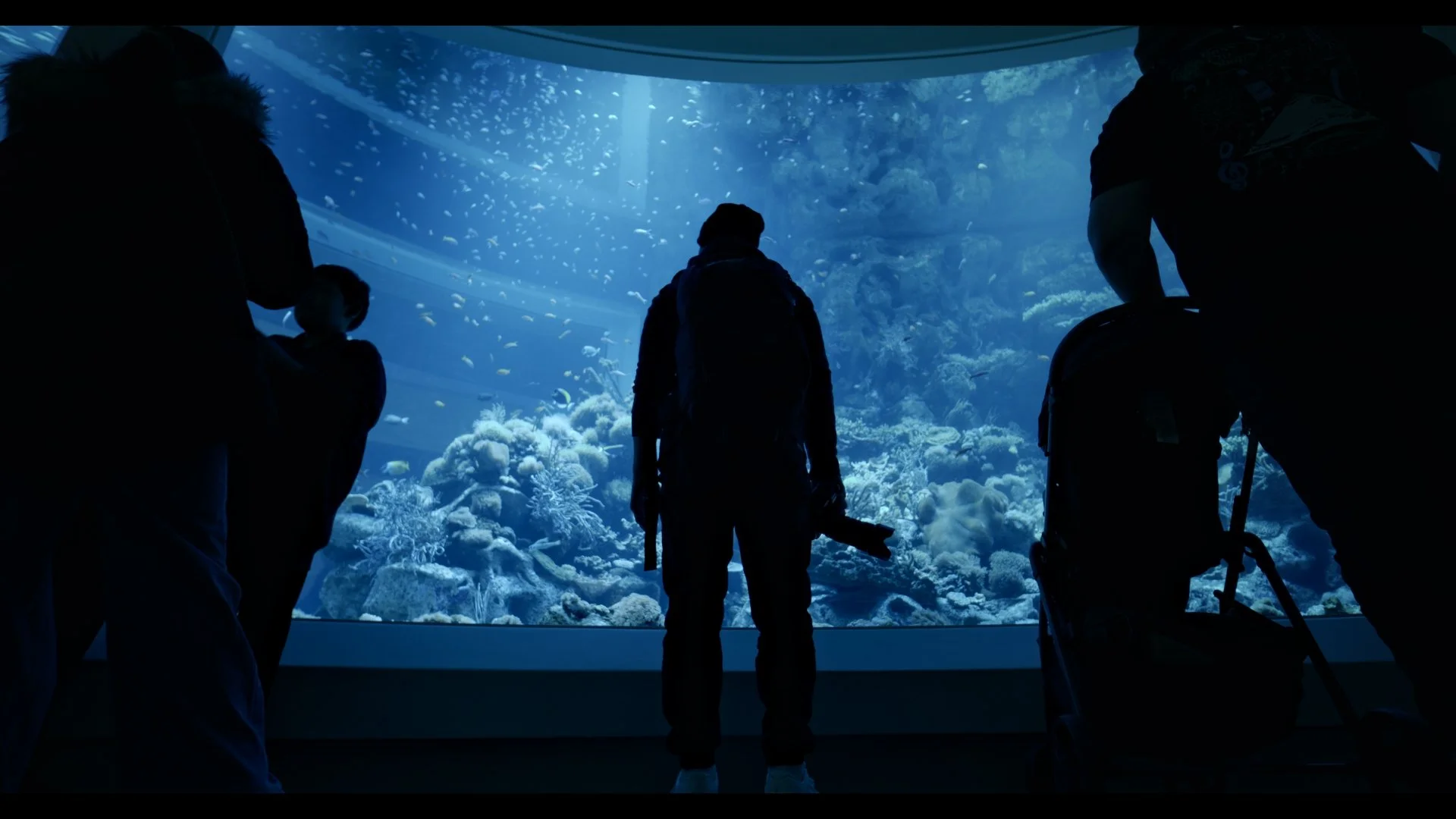 Still 2024-12-20 105820_1.16.1.jpg