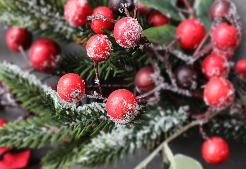 Holiday Celebration and Giveaway 