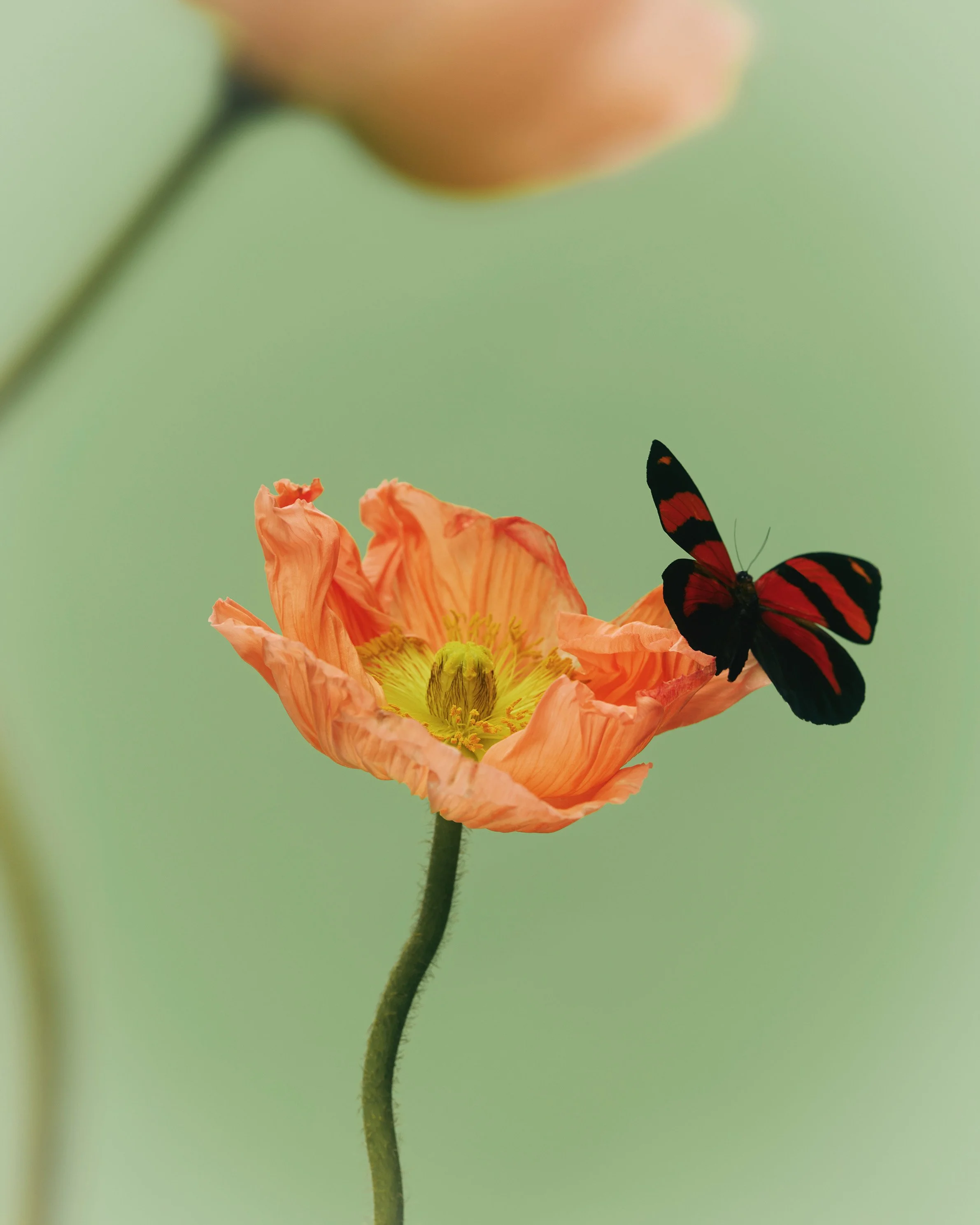 _TEST_BEAUTY-AWARDS-25_1387_v2 copy.jpeg