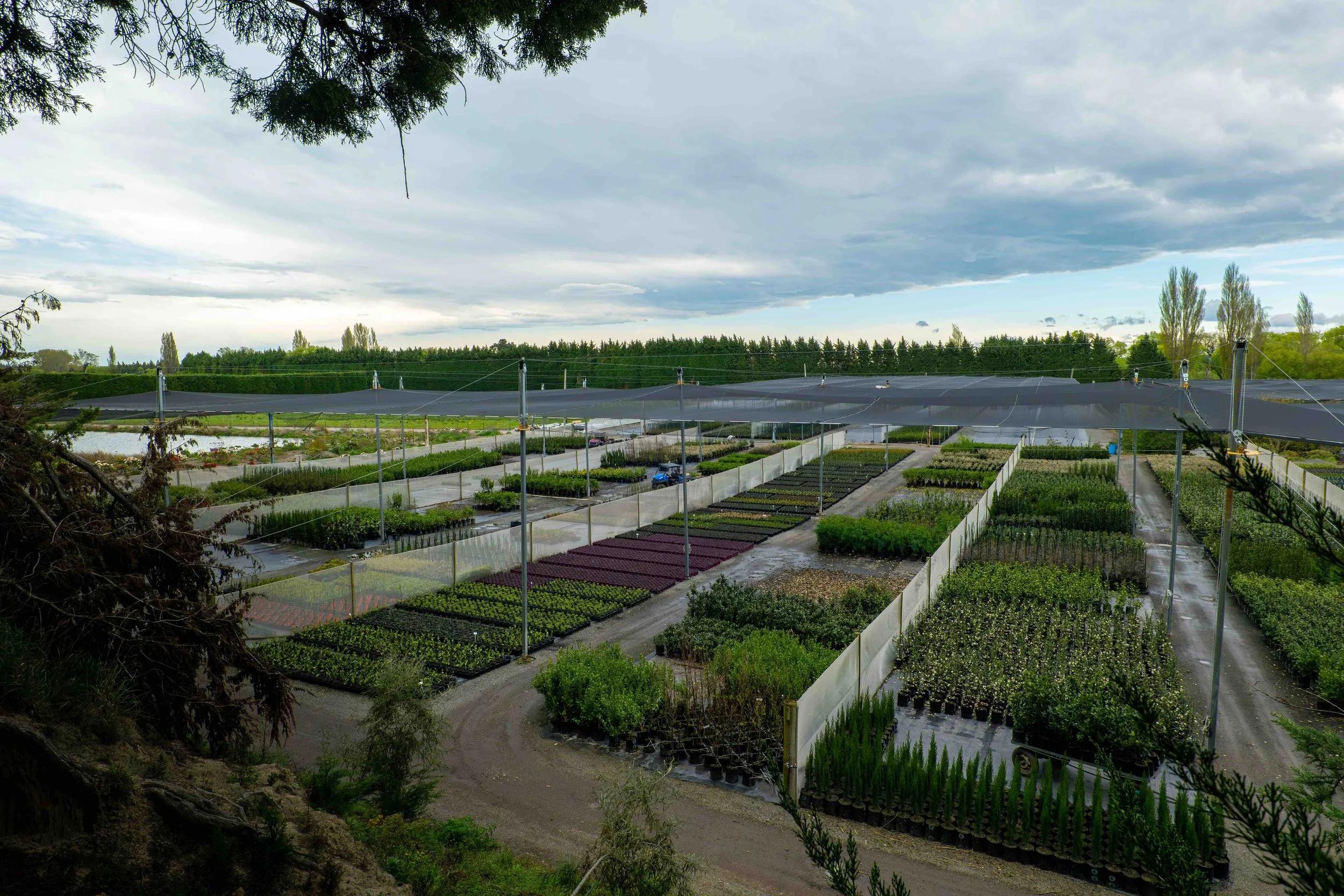 Overhead image of Elliott's Wholesale Nursery