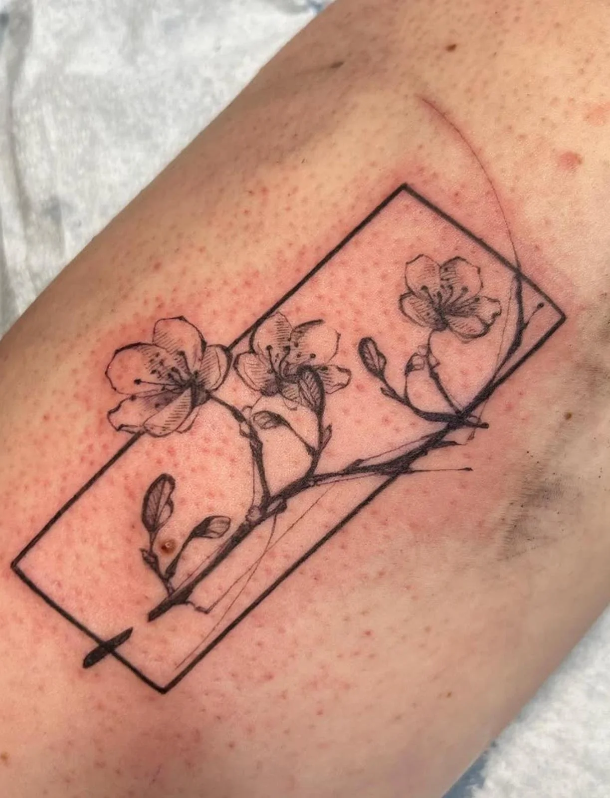 baharbahar Image 2026-01-08 at 17.34.12.jpeg