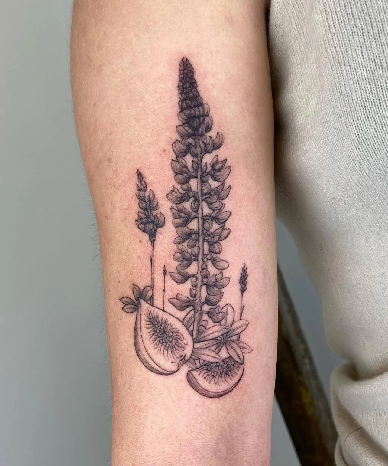 baharbahar Image 2026-01-08 at 17.34.17 (1).jpeg