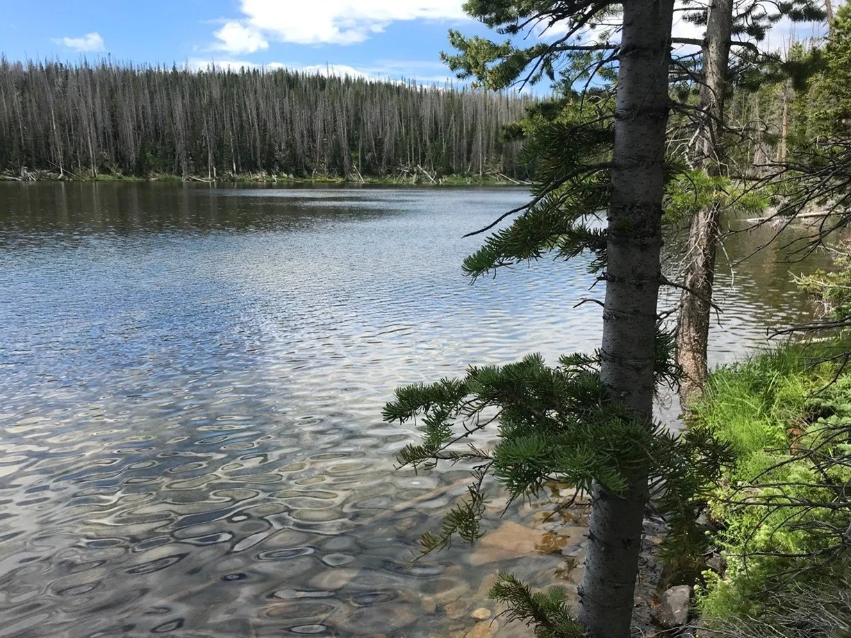 Snowy Range history revealed through place names