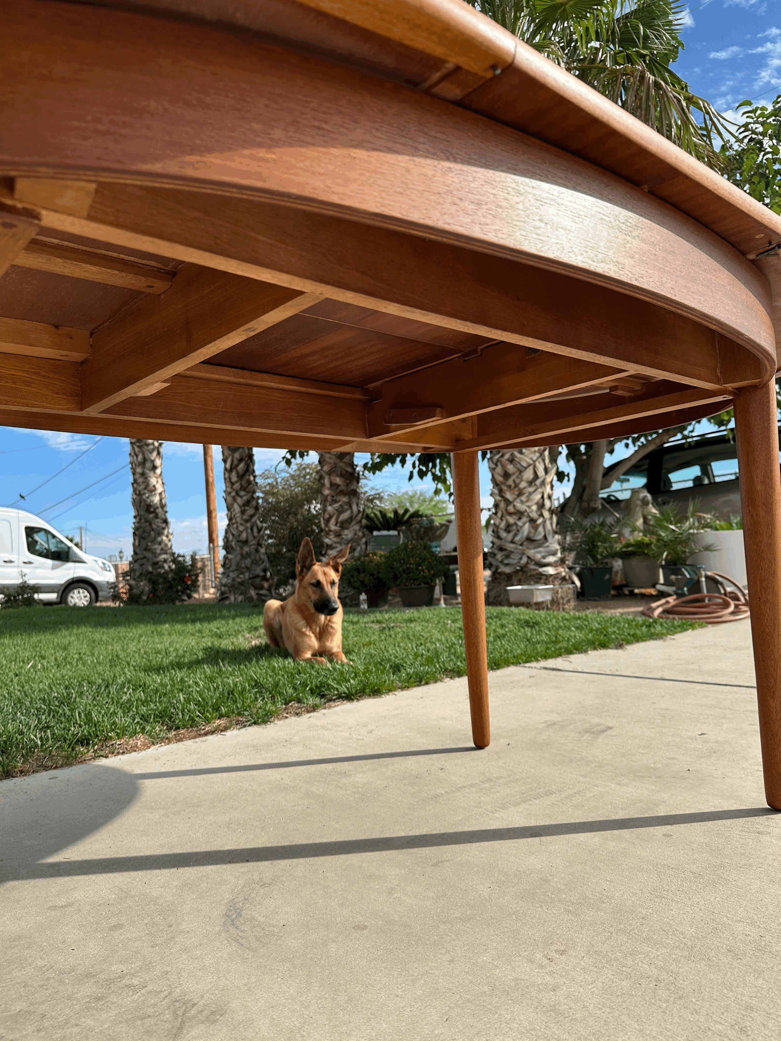 tempImageBNb9vq.gif