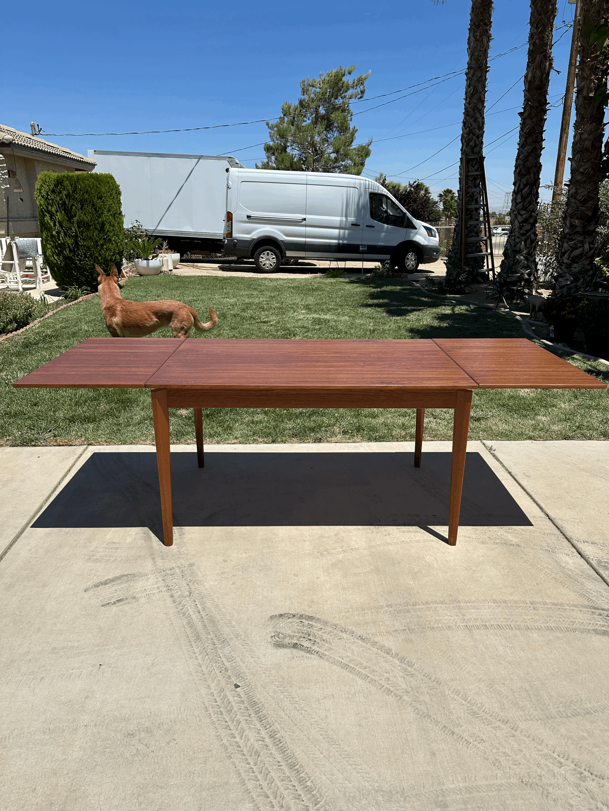 tempImage7X13fN.gif