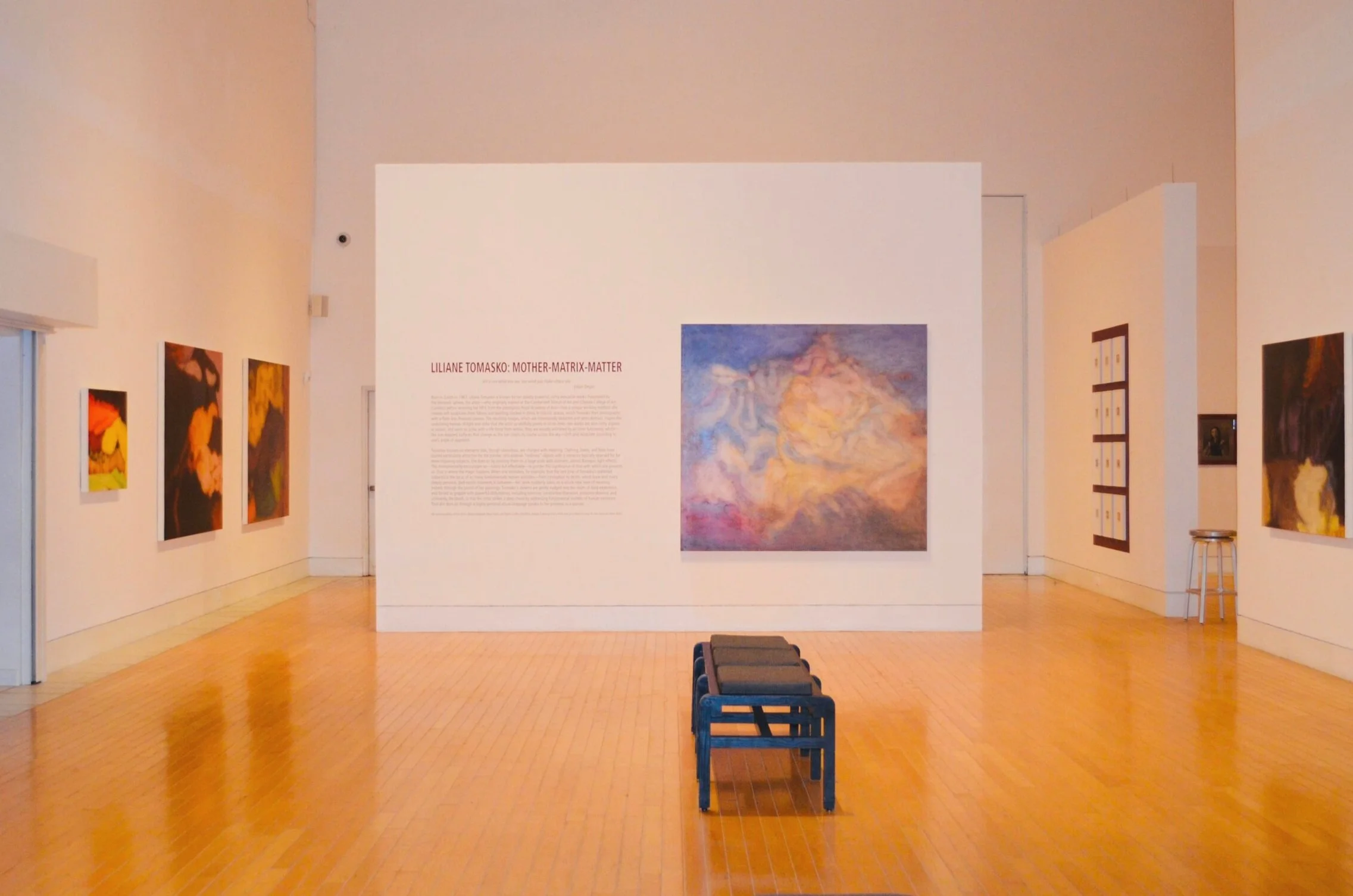 Lowe Art Museum, Miami | 2015