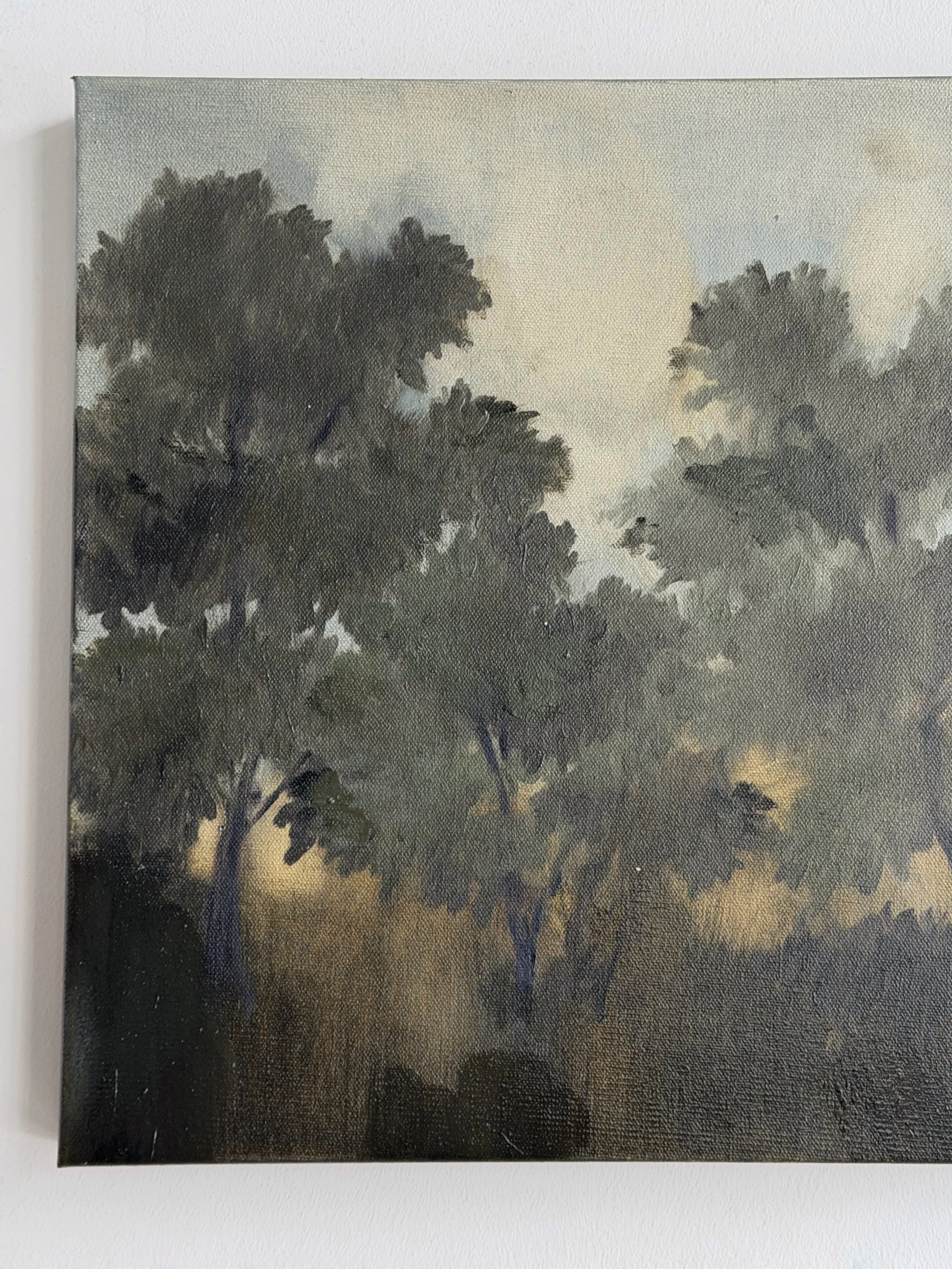 16x20b.jpg