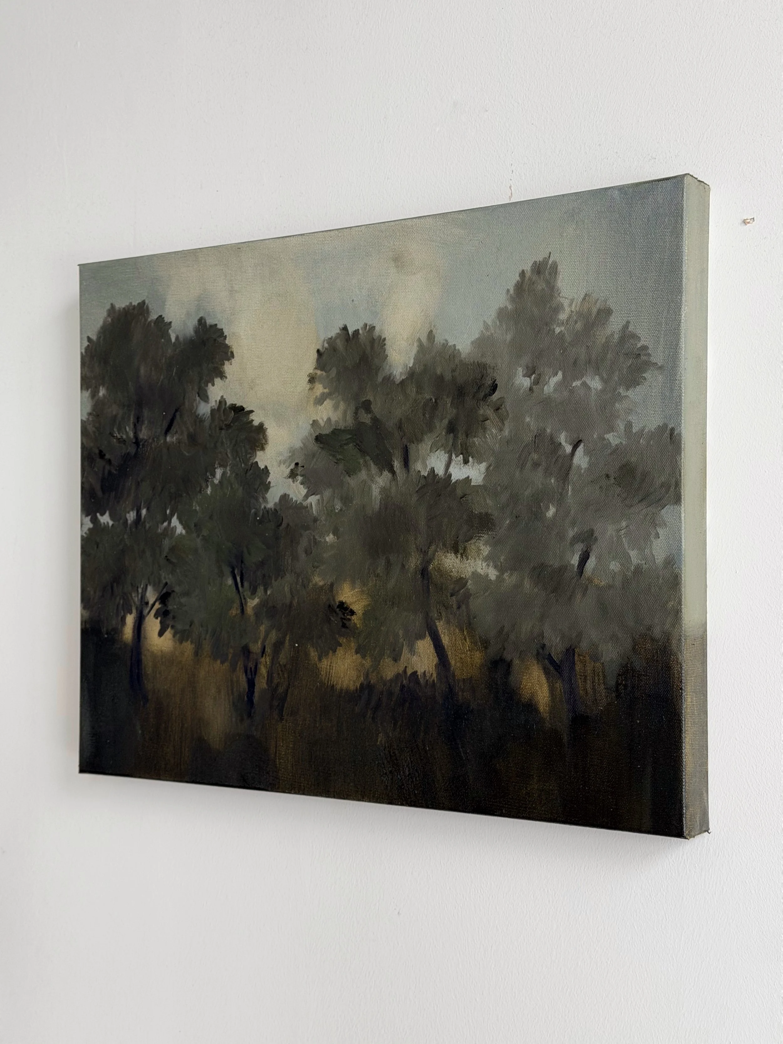 16x20d.jpg