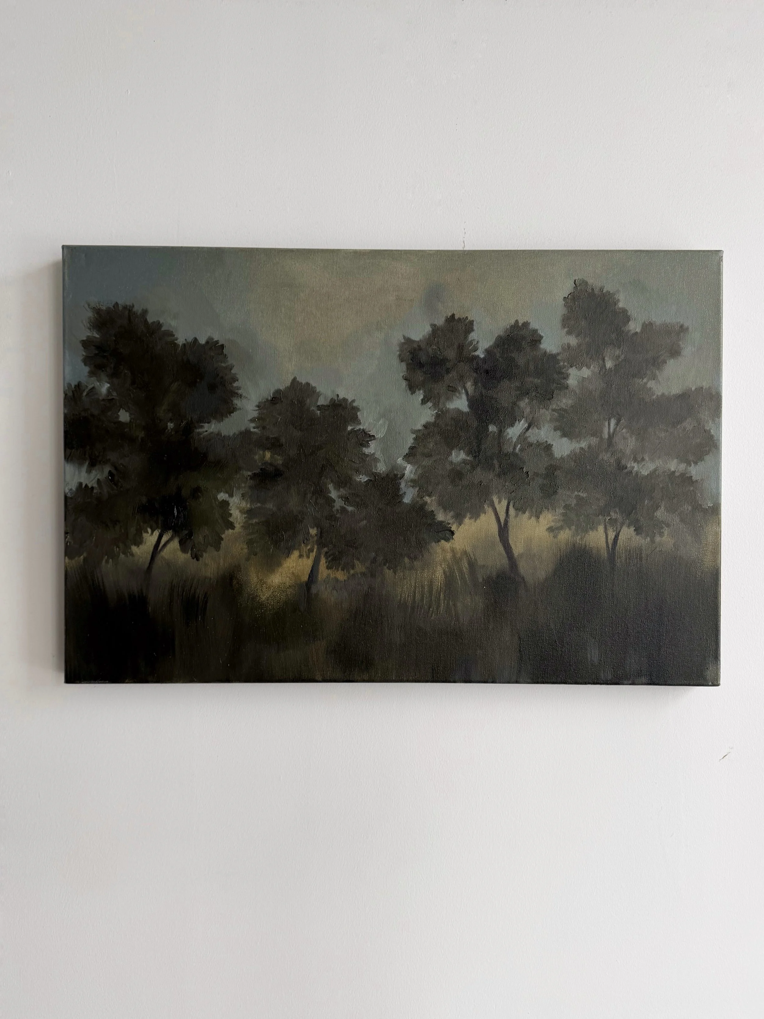 20x30a.jpg