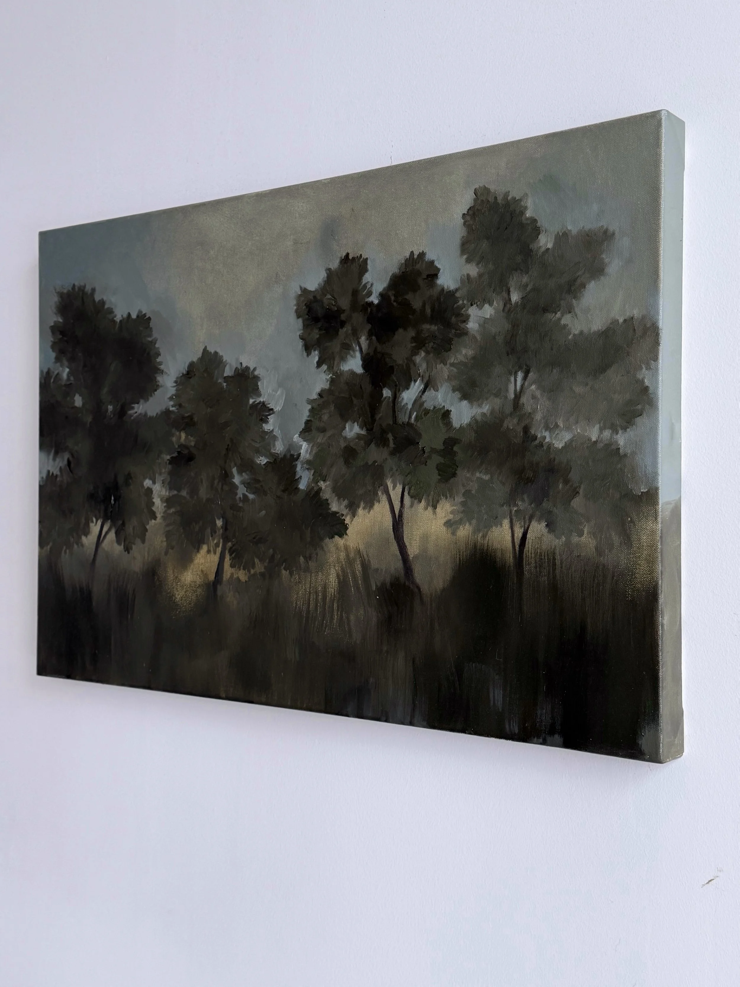 20x30d.jpg