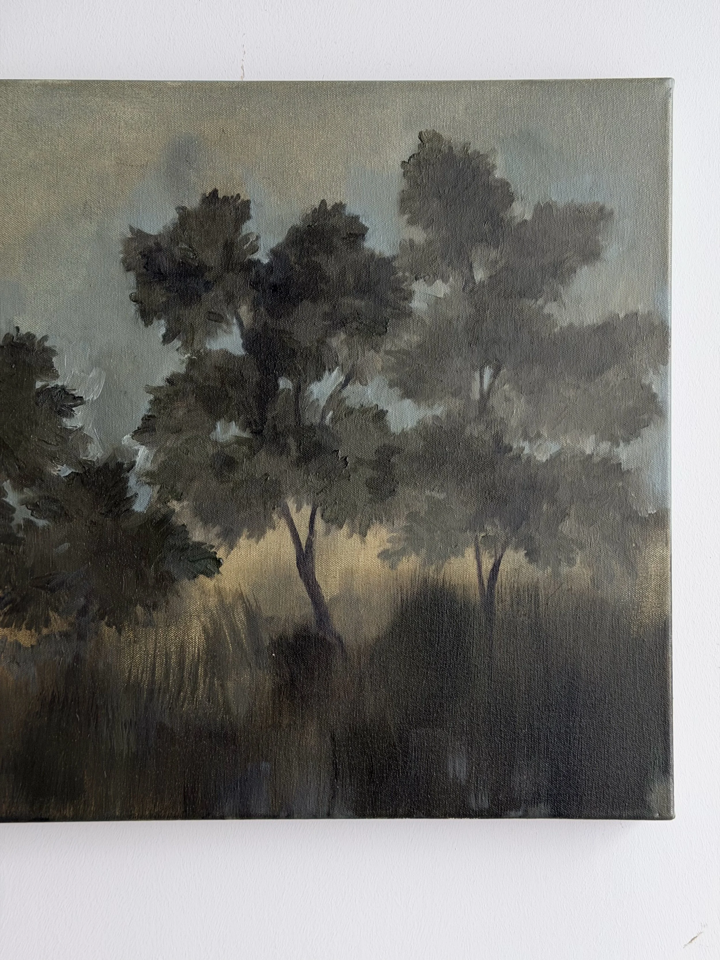 20x30c.jpg