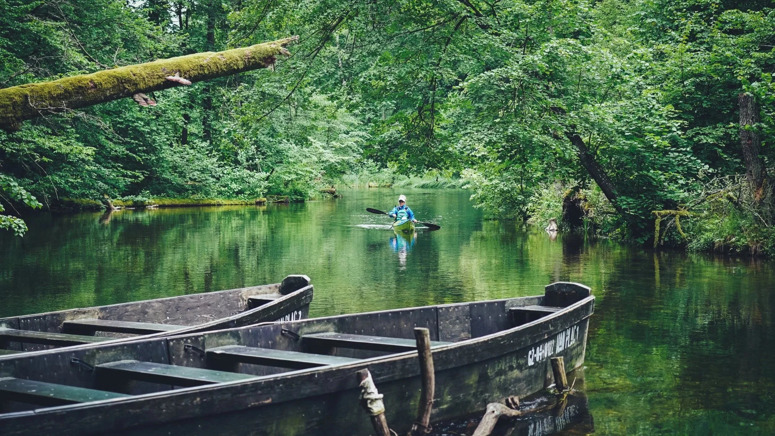 PROJECT: Facing Waves - Poland.
ROLE: Director, Shooter & Video Editor.
PRODUCER: Heliconia.