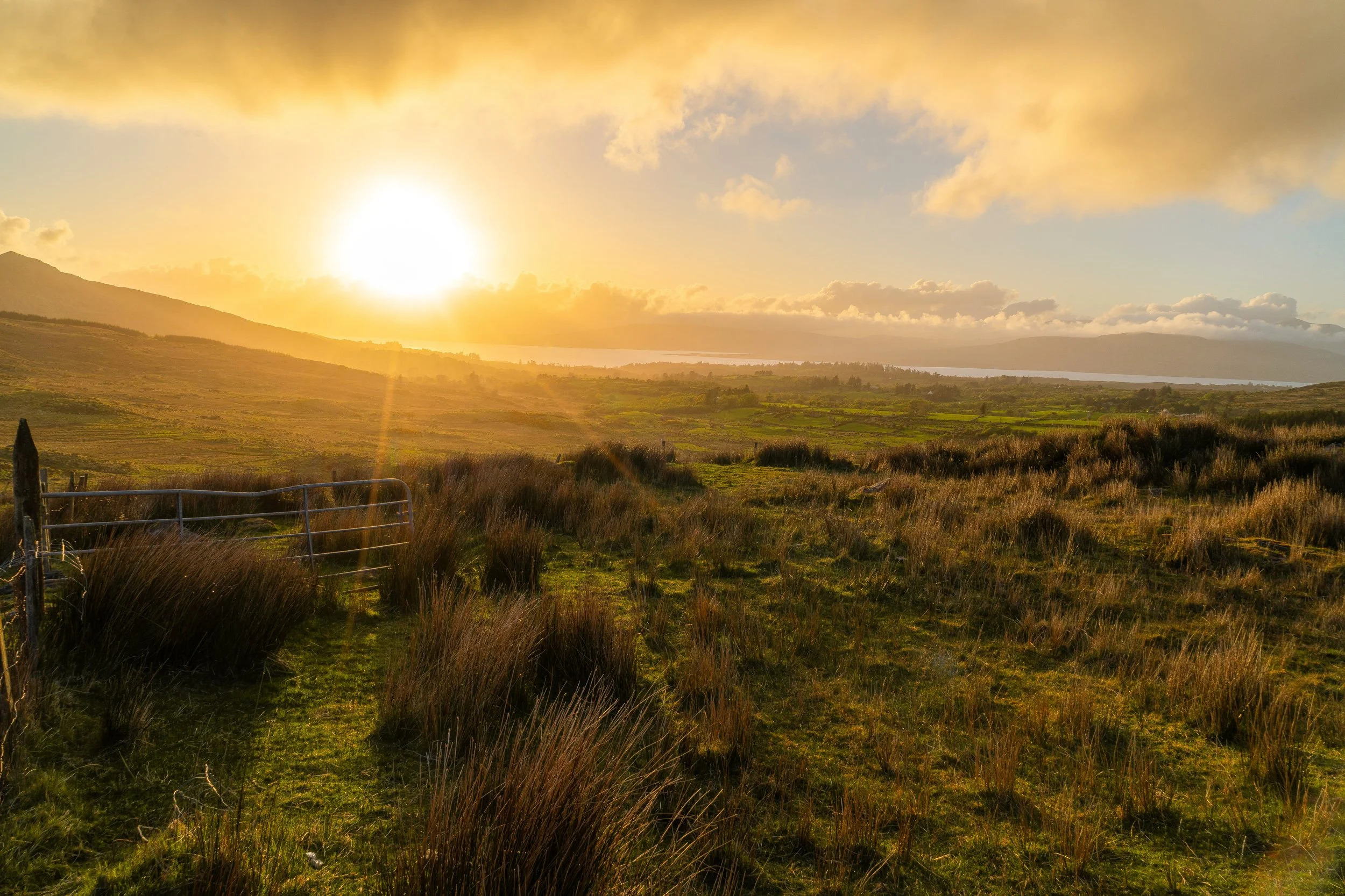 OE_CorkKerry_2025_SamBurrows_DSC07026-2.jpg
