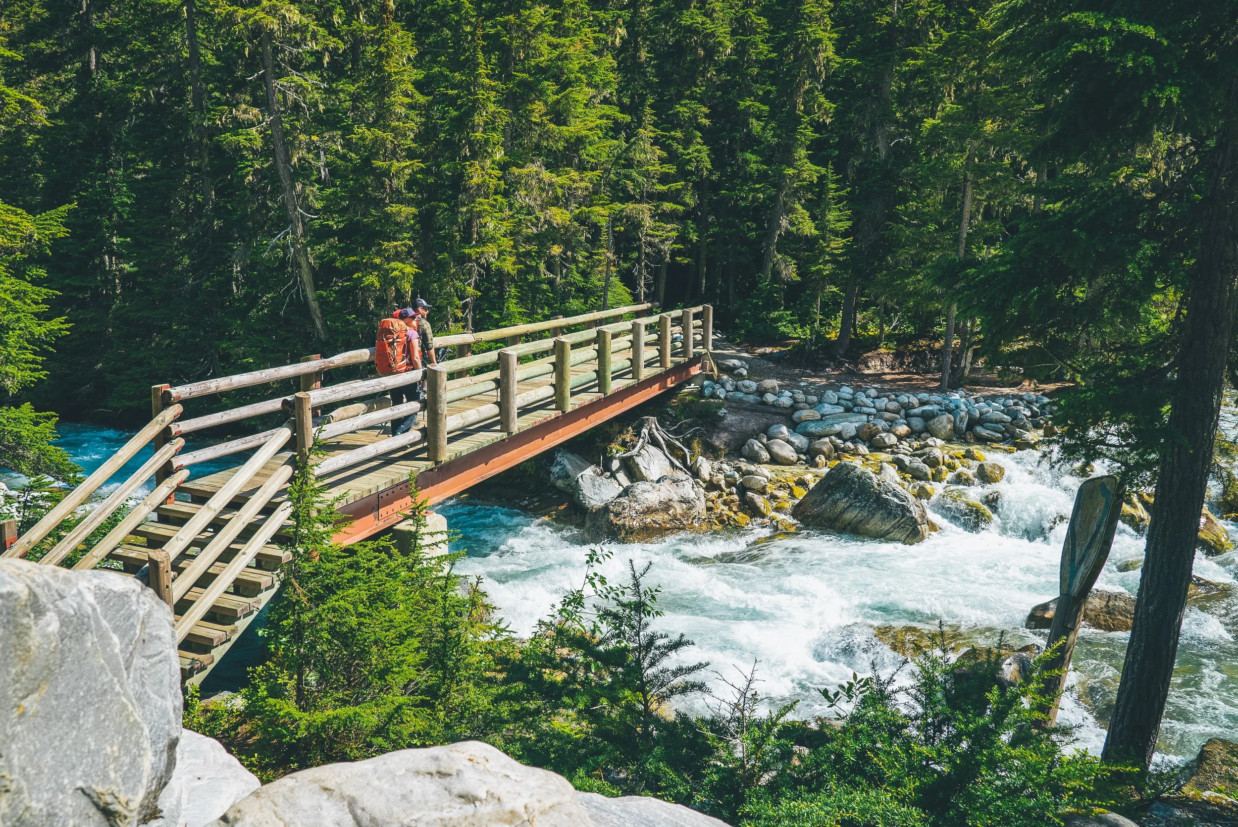 EpicTrails_Revelstoke2019_SamBurrows (48)-2.jpg