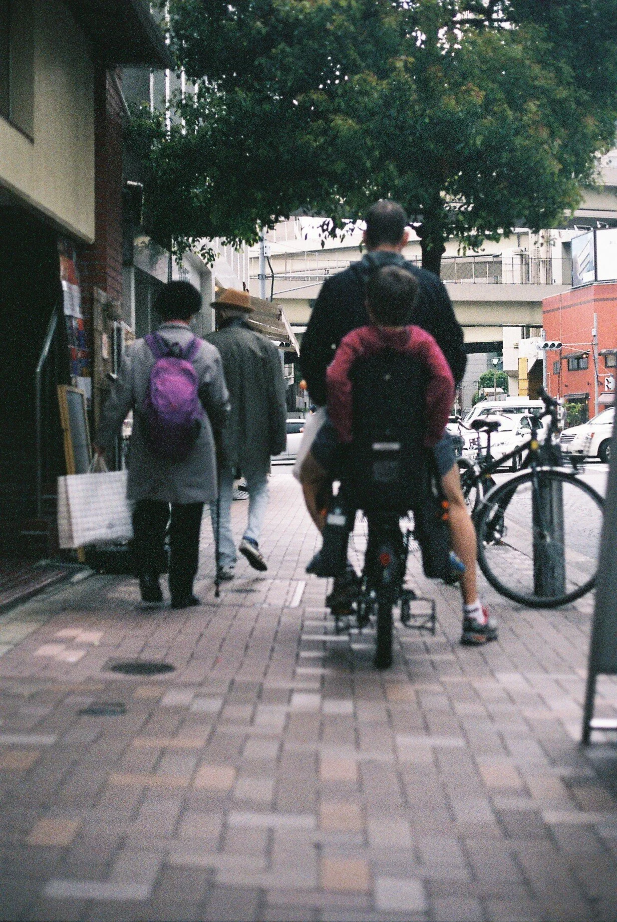 FH010009.JPG