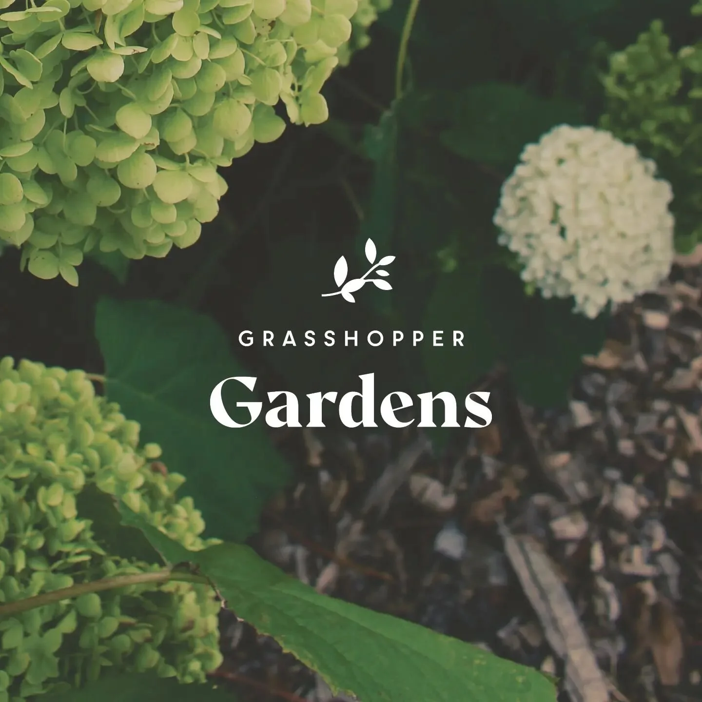 Specialist Dementia Gardens — Grasshopper Gardens
