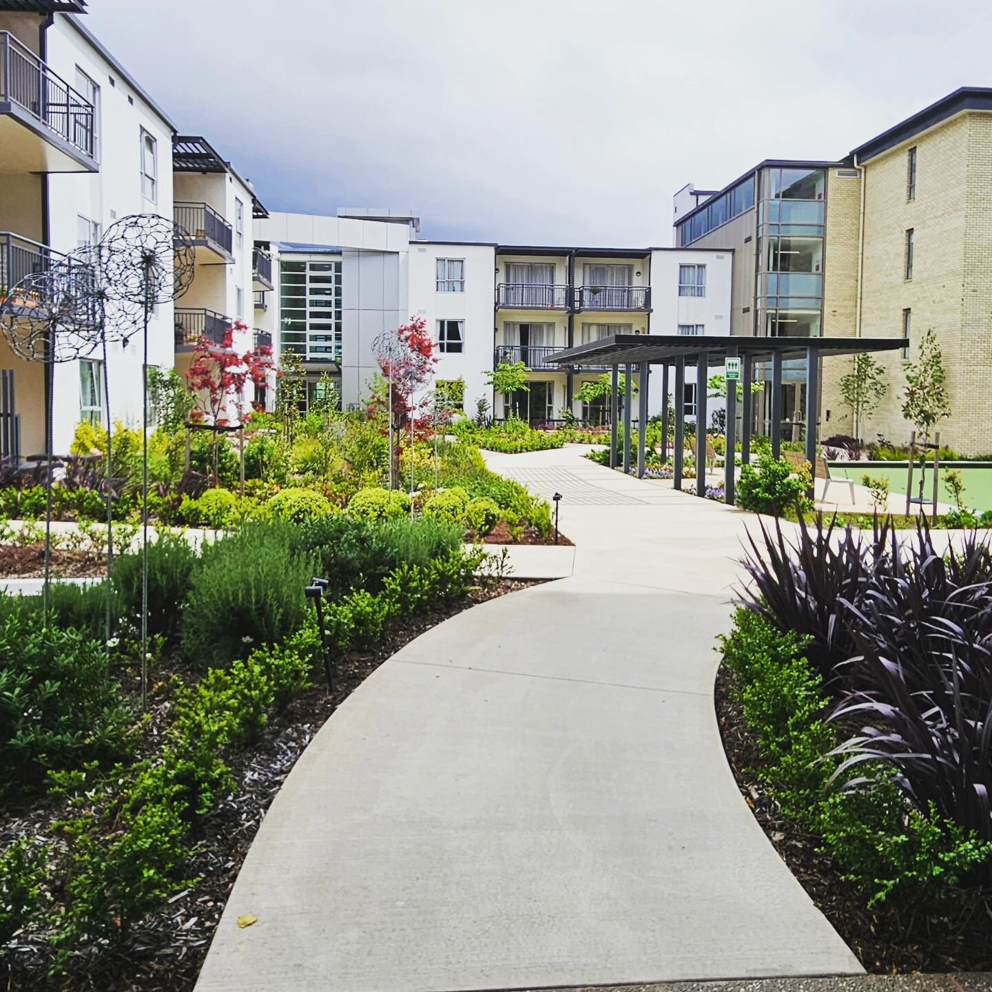 Grey skies and curved lines 

#commerciallandscaping #commercialgarden #commercialgardening #grasshoppergardensltd #gardensnz #gardens #gardening #gardenersworld #gardenerslife #garden