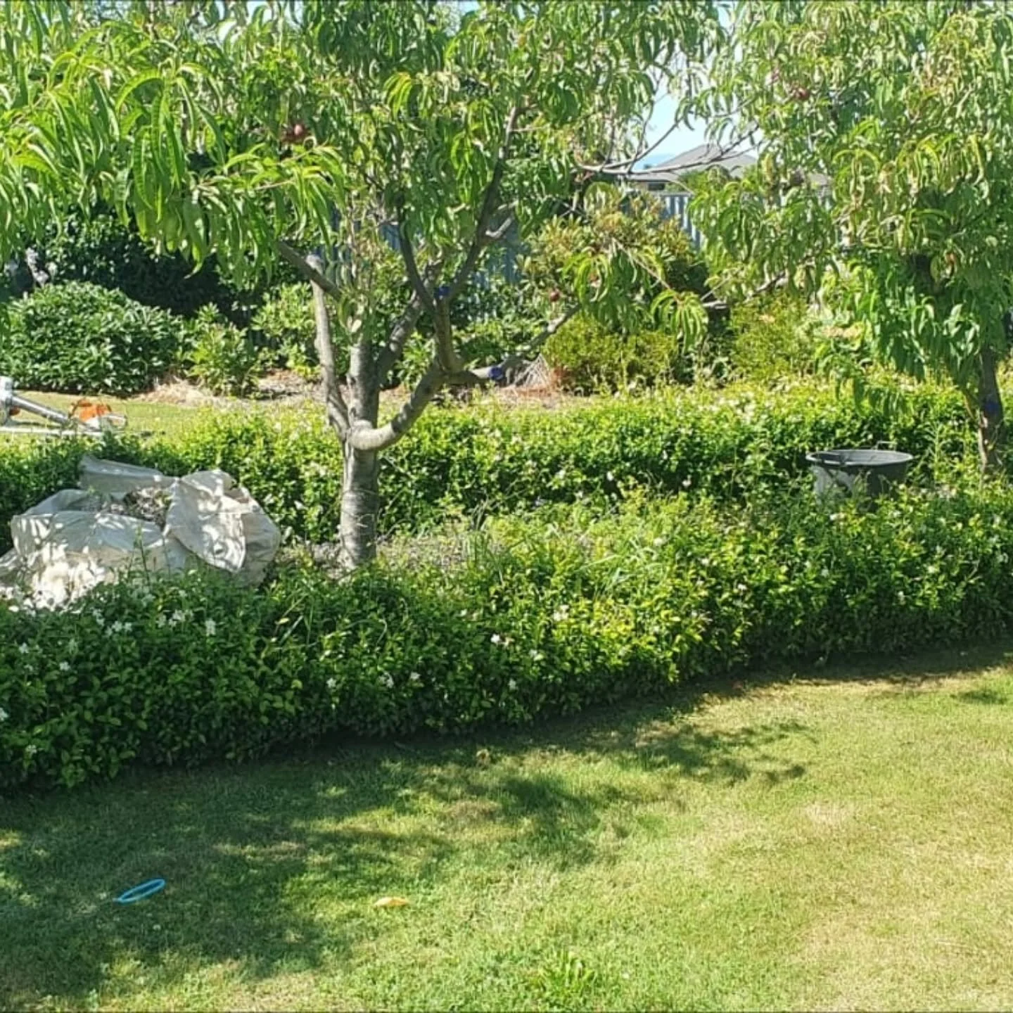 Before ➡️ After

#before_and_after garden magic