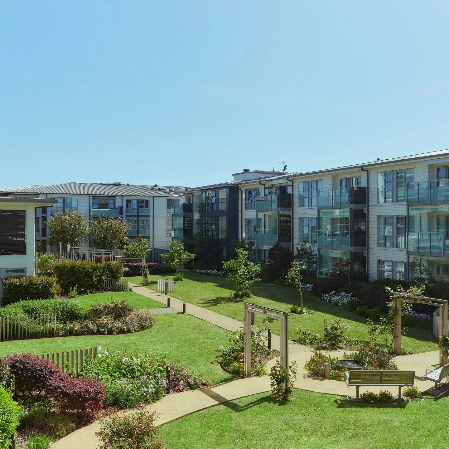 One beautiful garden by some amazing Grasshoppers 
= 100% happy humans 😍

#plantsmakepeoplehappy #grasshoppergardensltd #gardeninglife #commercialgarden #commerciallandscaping