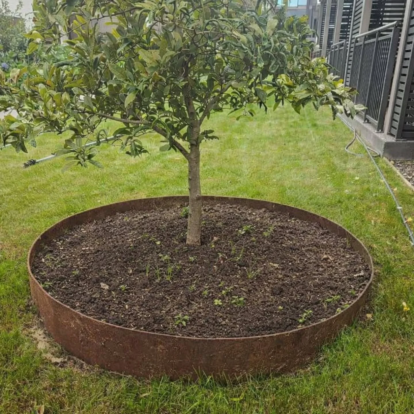 BEFORE ➡️ AFTER
Nice work team! Bring on that colour 🌸