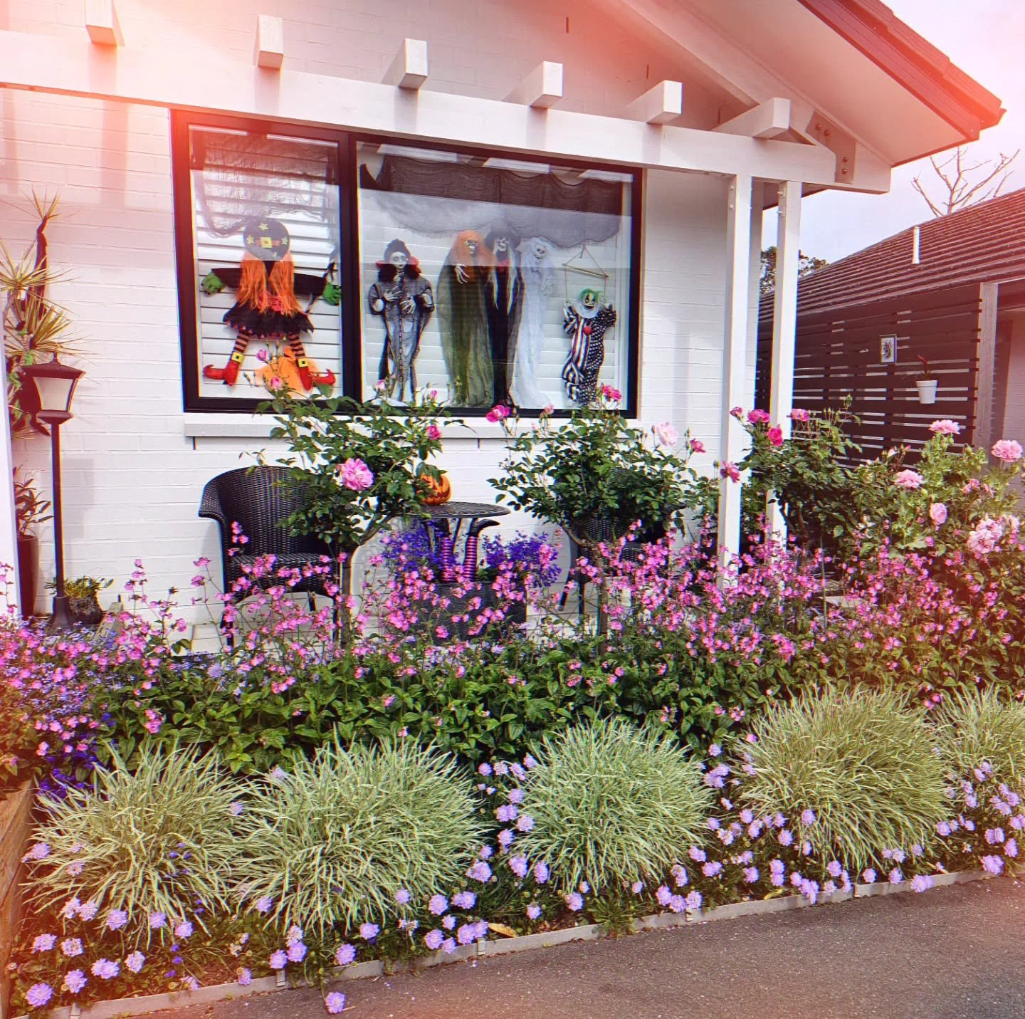 Happy Halloween 🎃