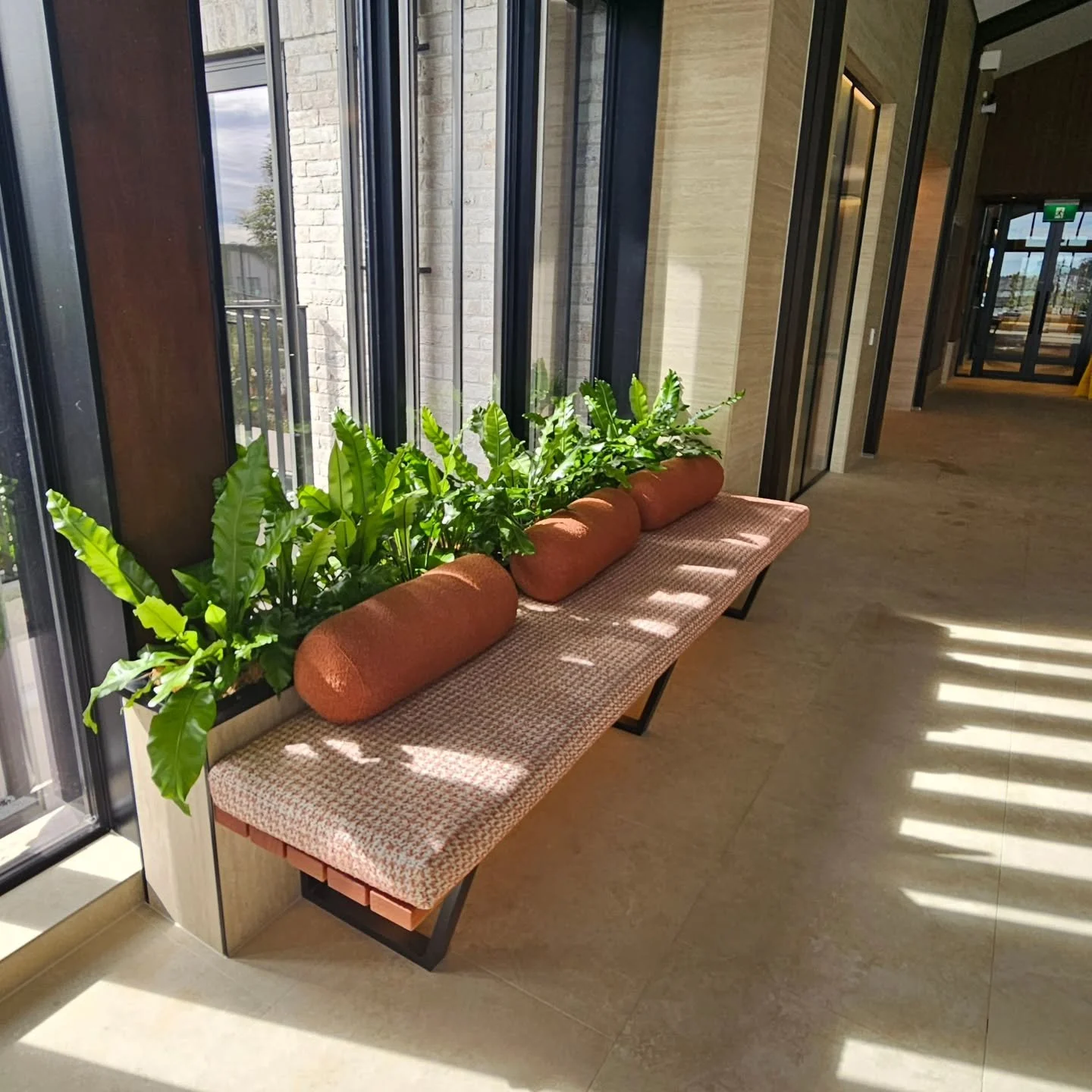 Who wouldn't love to sit here?

 Asplenium nidus #birdsnestfern making this seat 💯 perfect 😍

#grasshoppergardensltd #indoorplantstyling