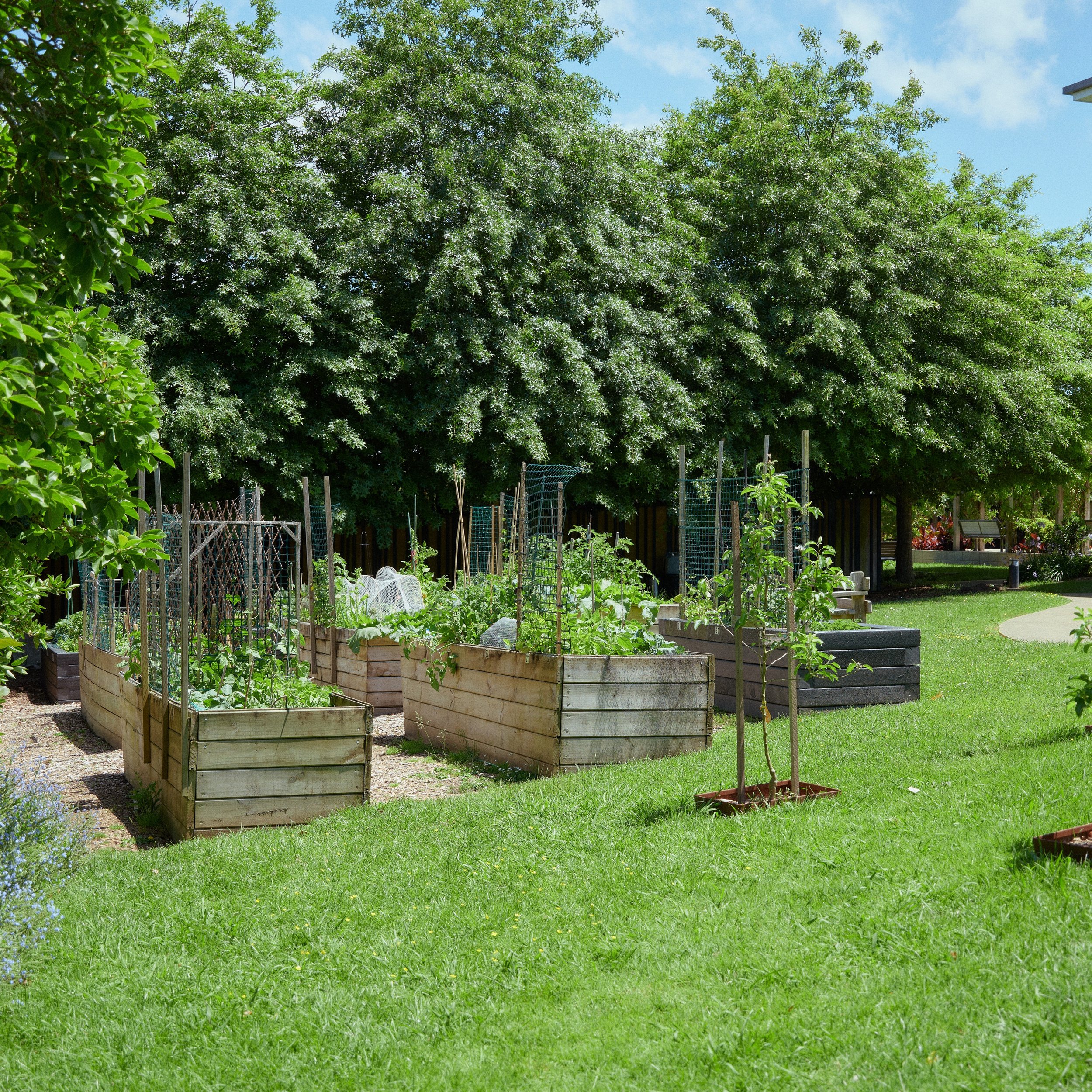 The Edible gardens are starting to get exciting! #spring #ediblegardens