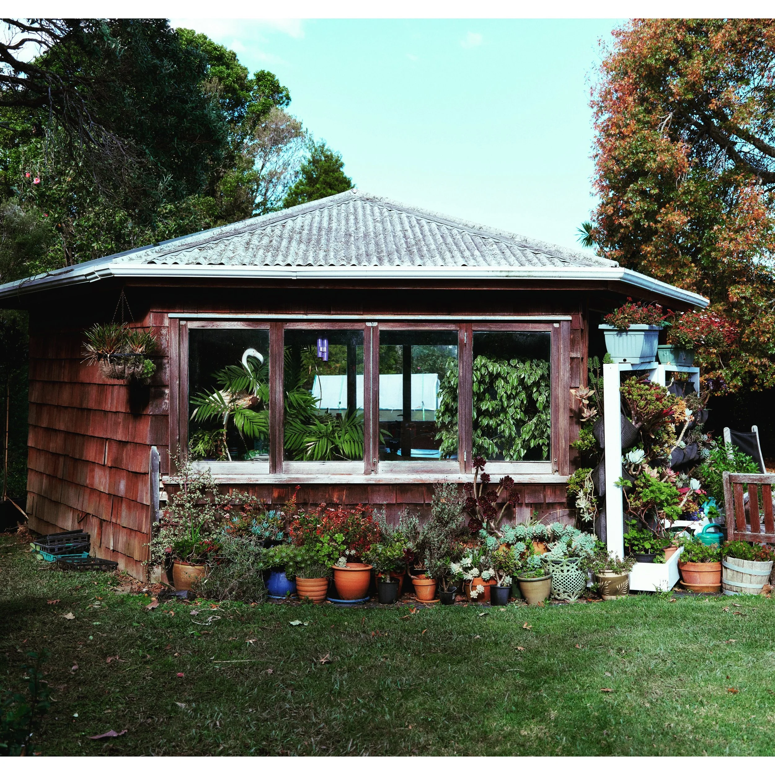 Good morning from the most magical garden shed at one of our beautiful Auckland sites- Better than an office job!