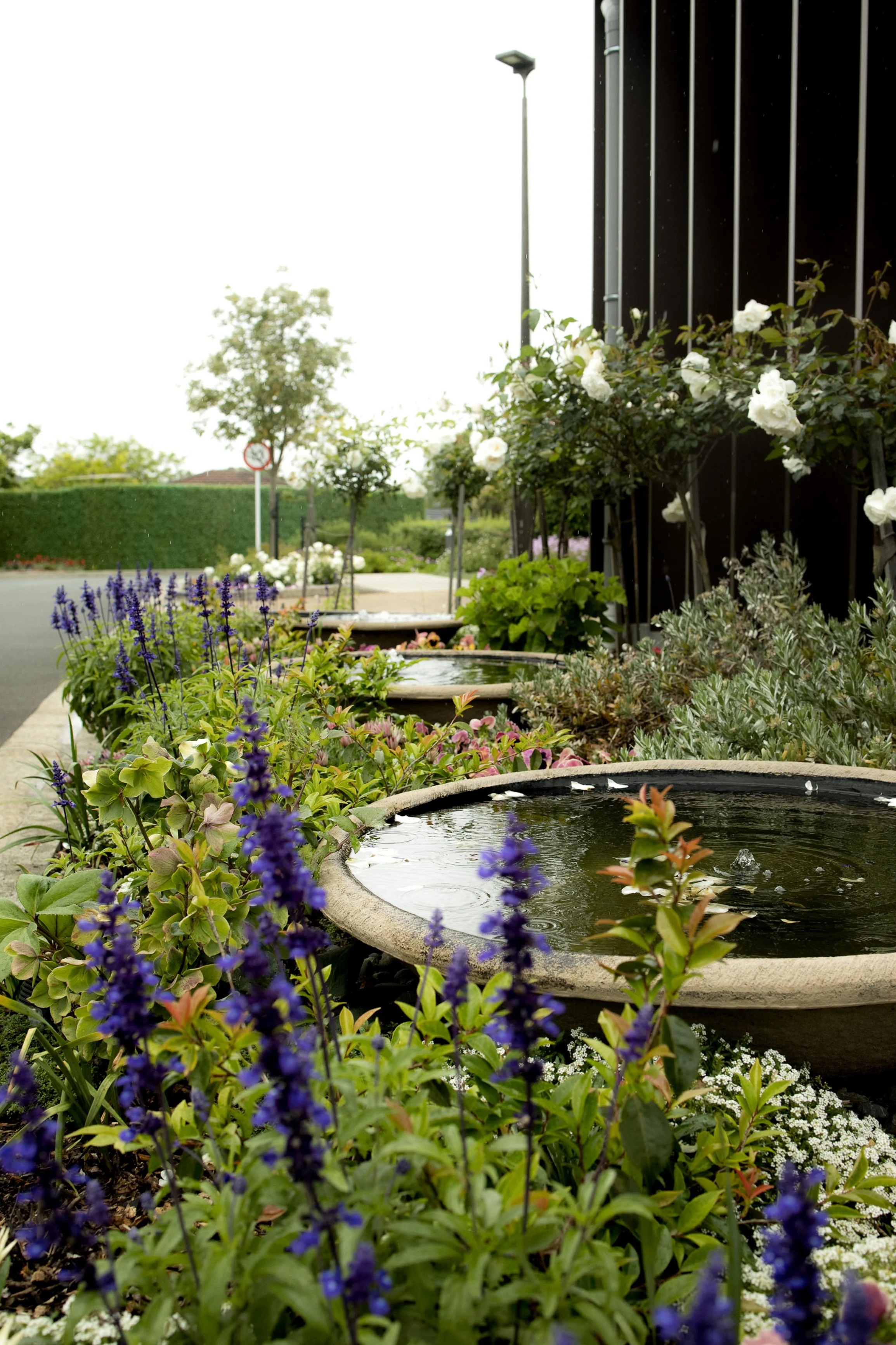 Grasshopper Gardens