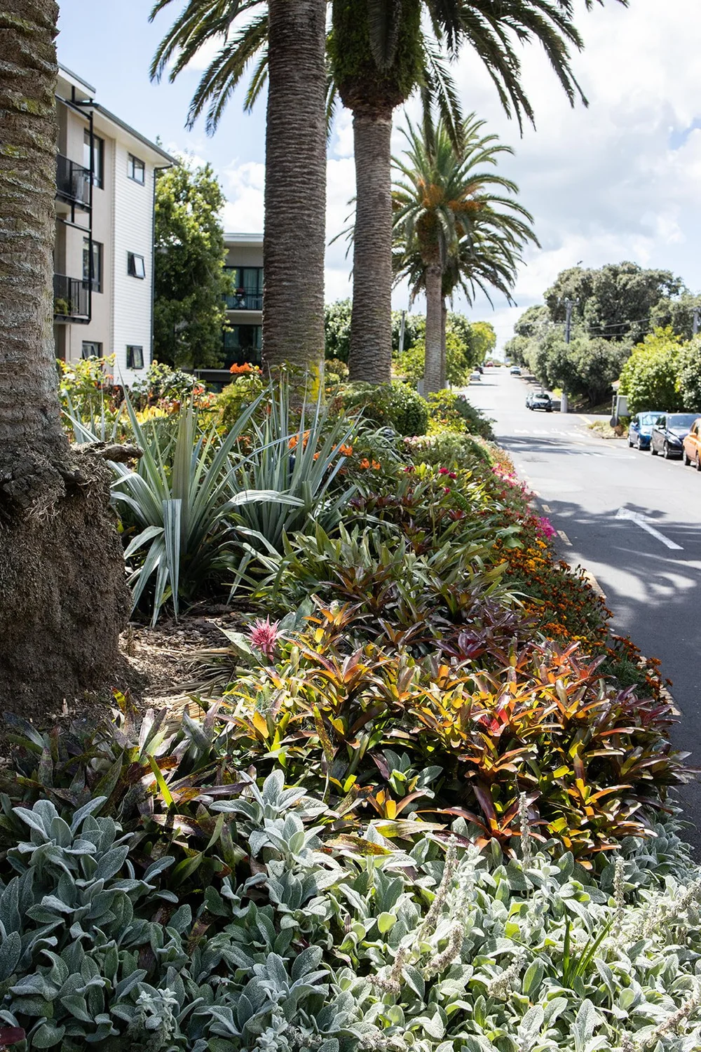 Pt Chevalier Village — Grasshopper Gardens