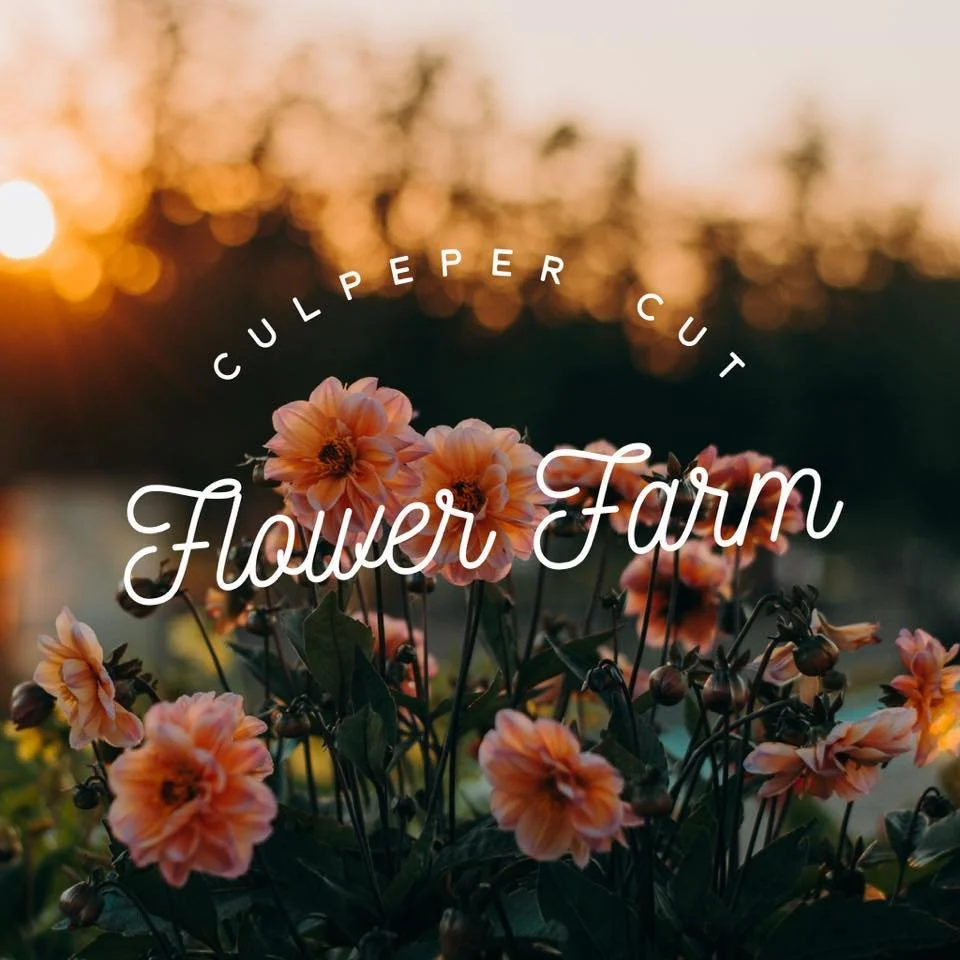 Culpeper Cut Flower Farm.jpg