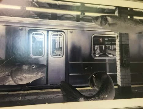 fish and subway.jpg