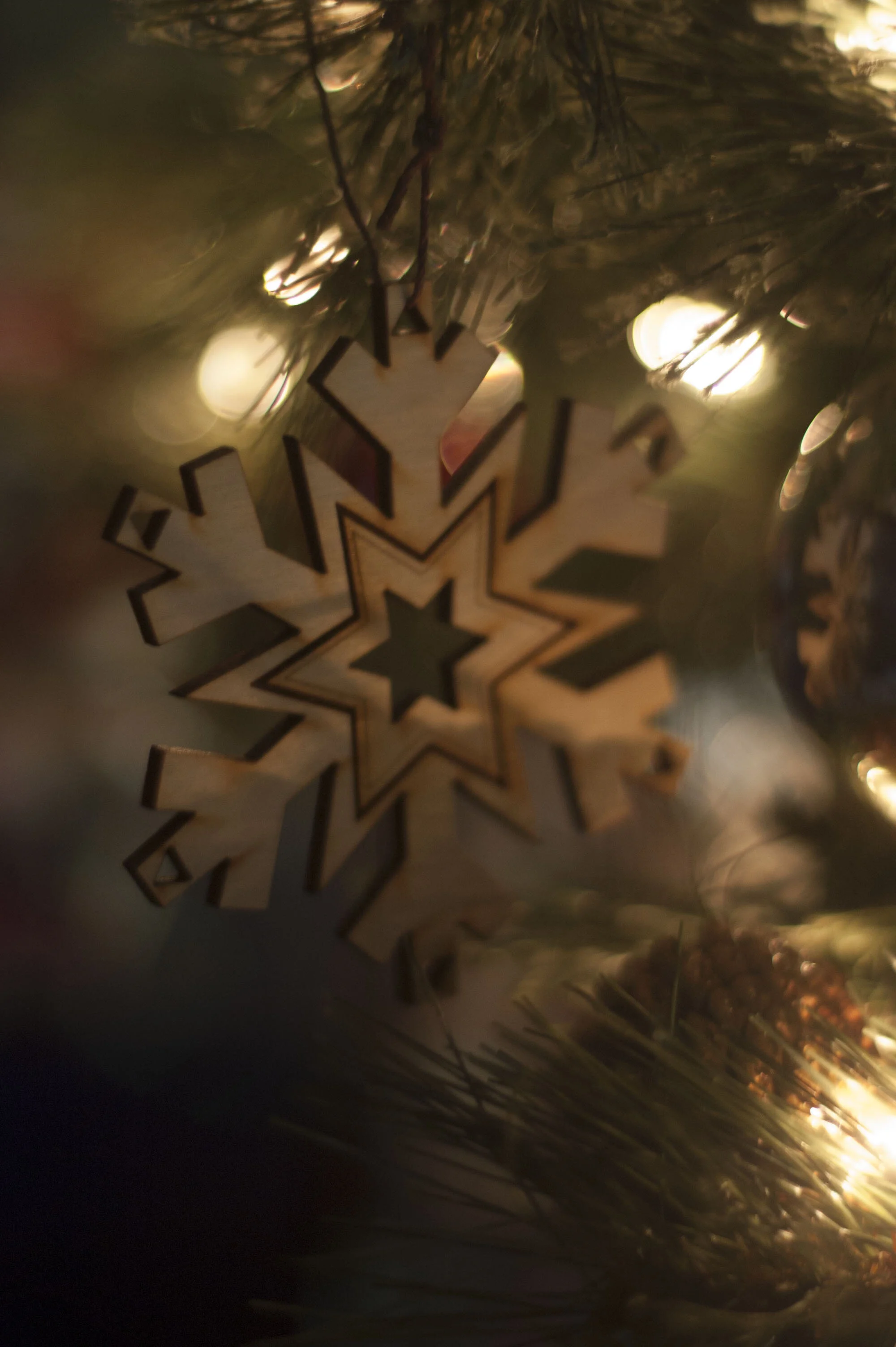 BERkLAZsoftlightsnowflake.jpg